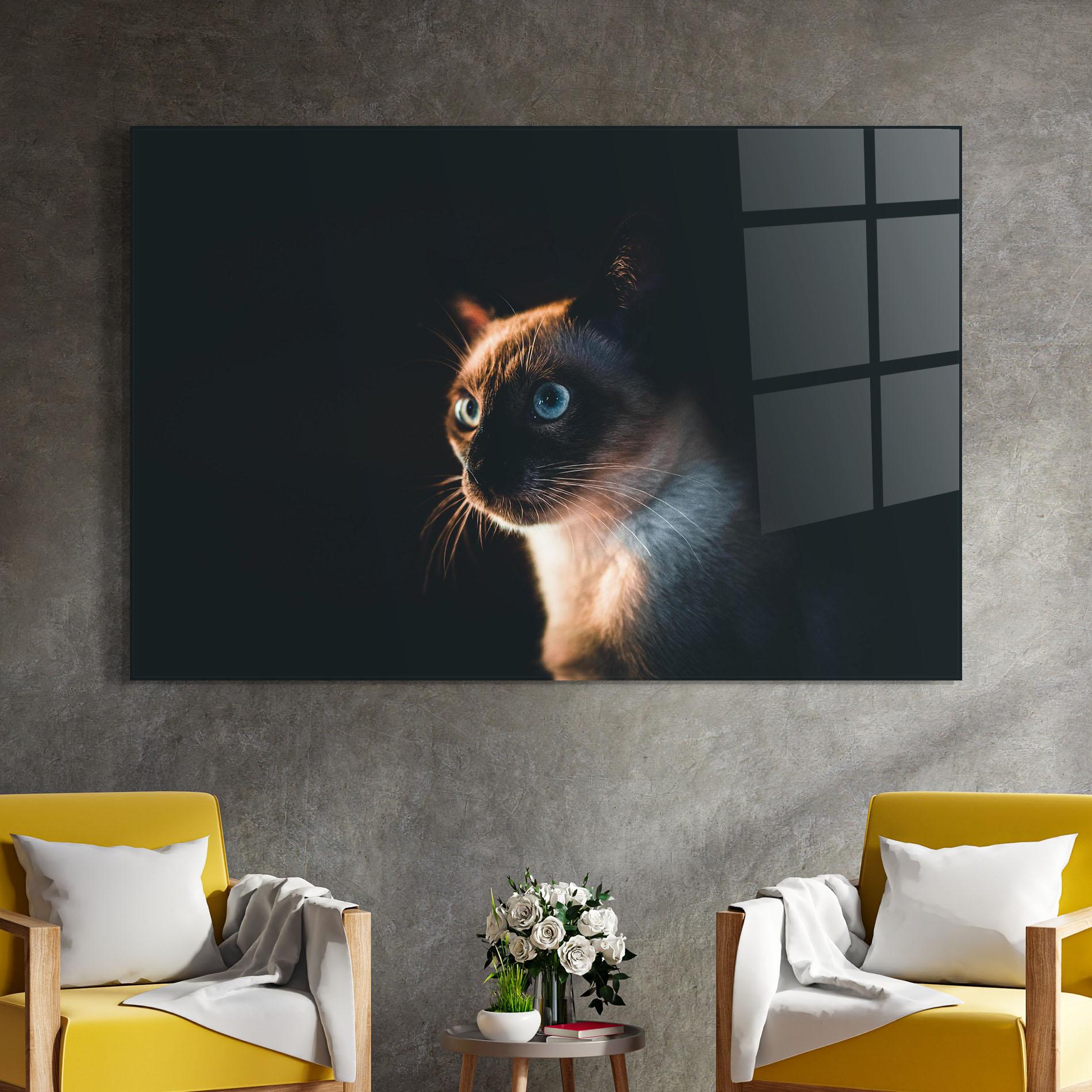 Glasbild Blue Eyes Cat In Dark mockup 4
