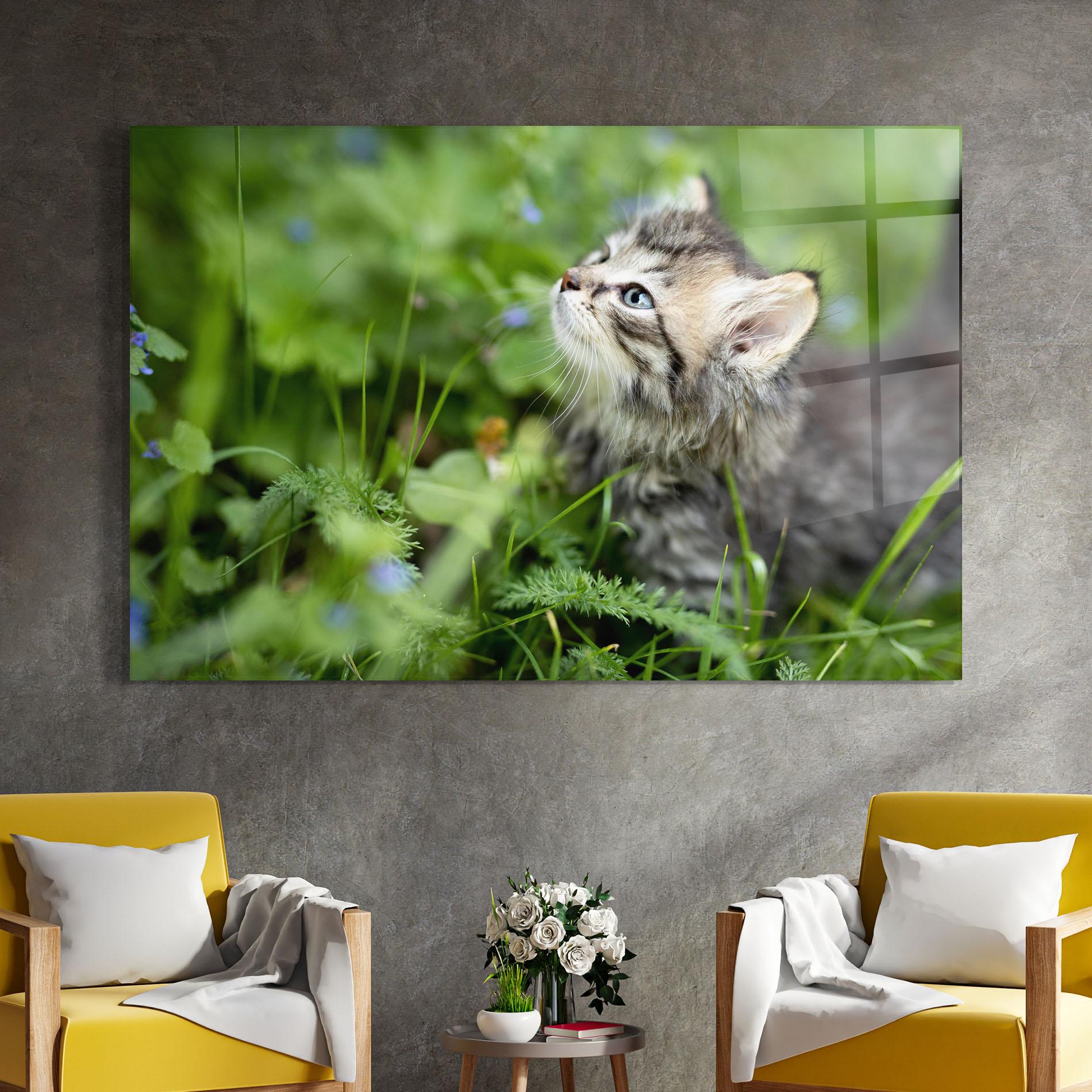 Glasbild Brown Baby Cat mockup 4