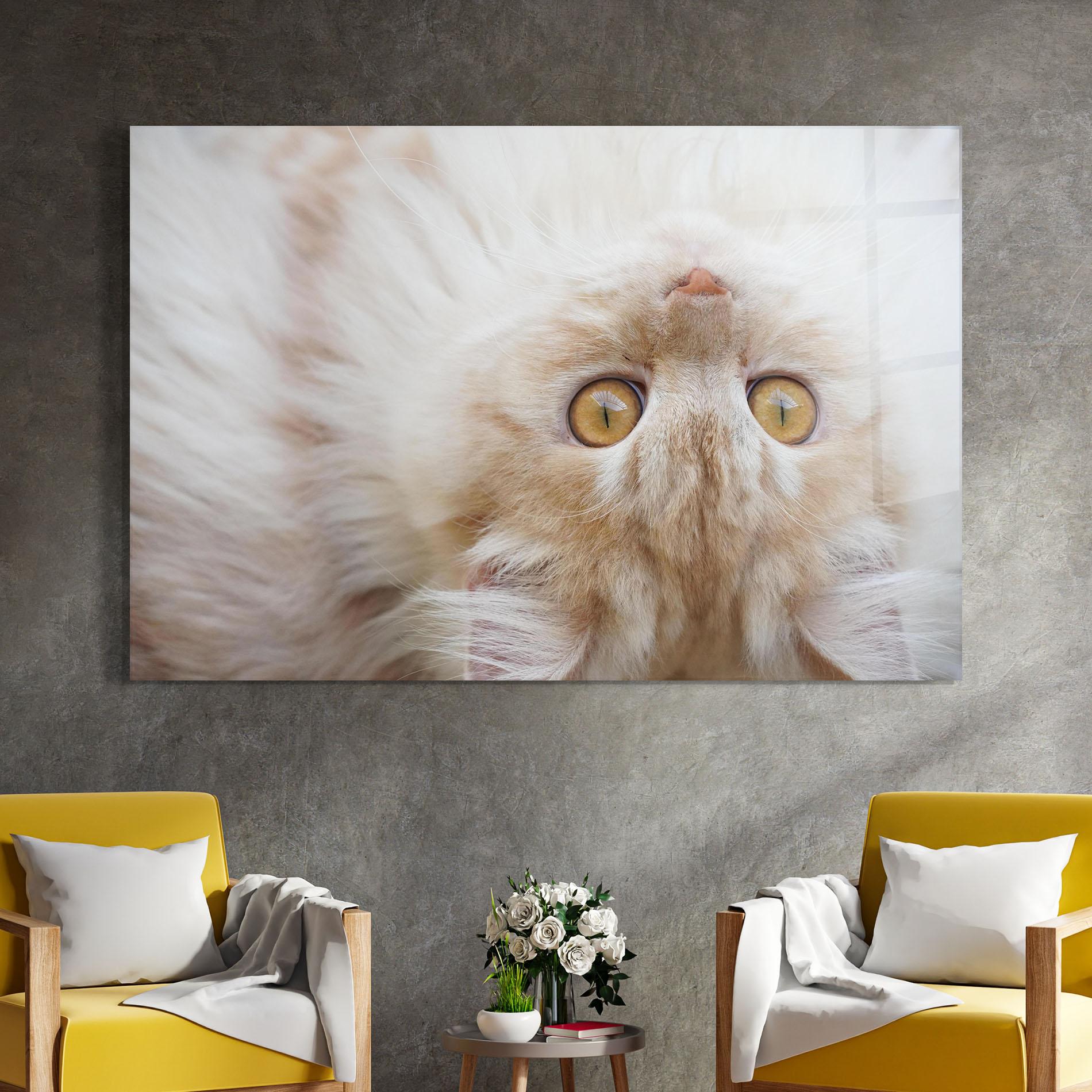 Glasbild Close Up Yellow Eyes Cat mockup 4