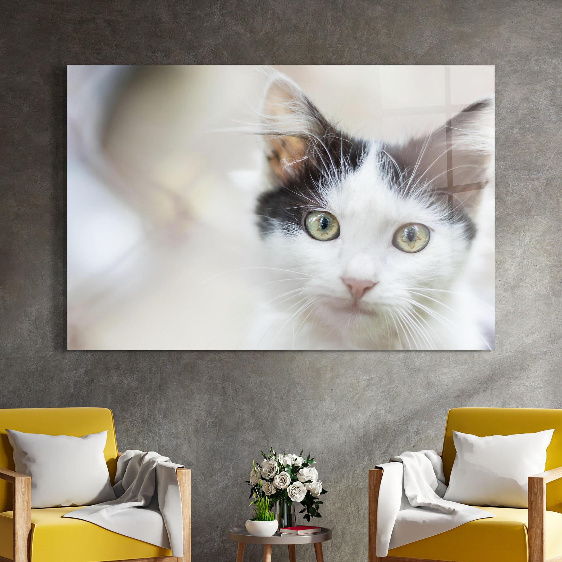 Glasbild Cutie Cat mockup 4