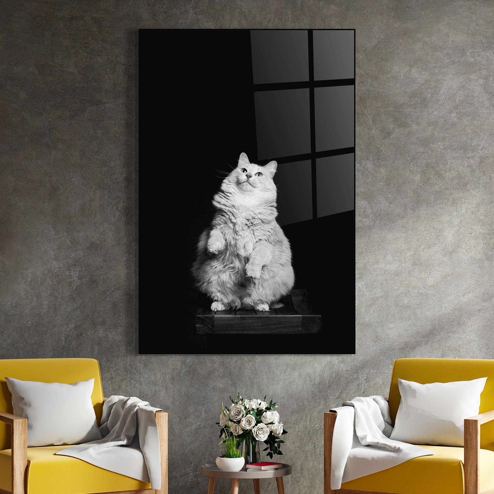 Glasbild Big Fluffy Cat mockup 4