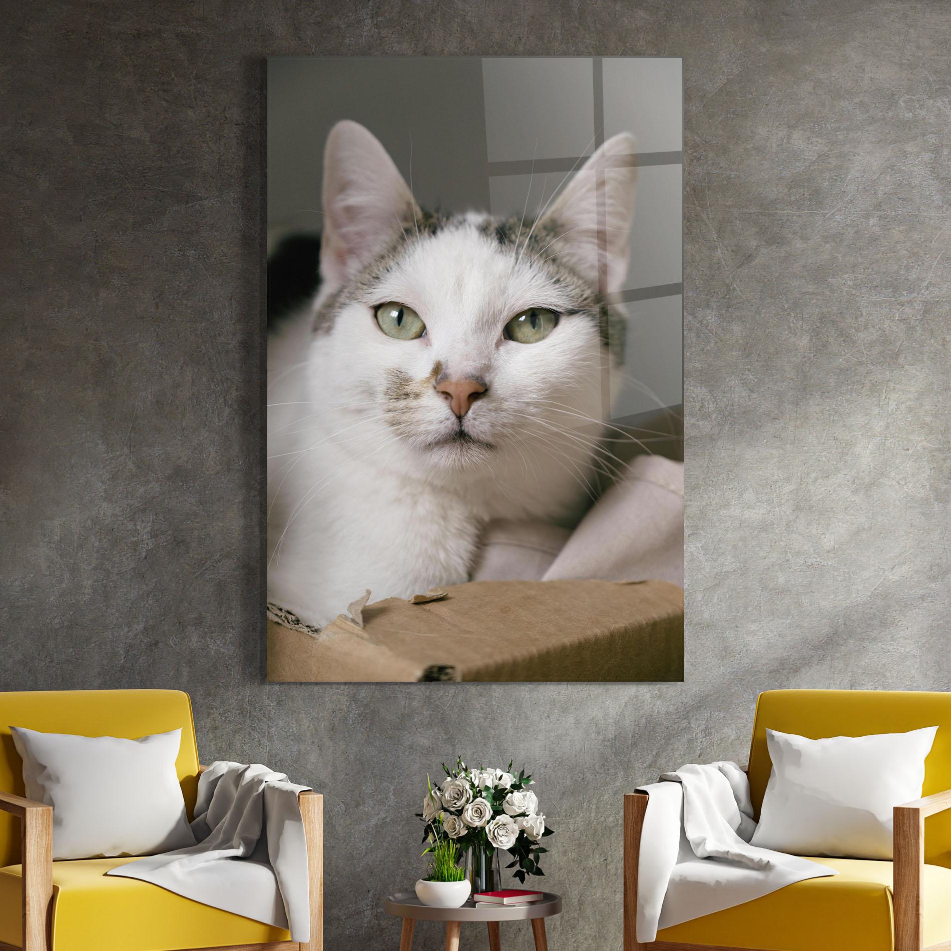 Glasbild Big Sleepy Cat mockup 4