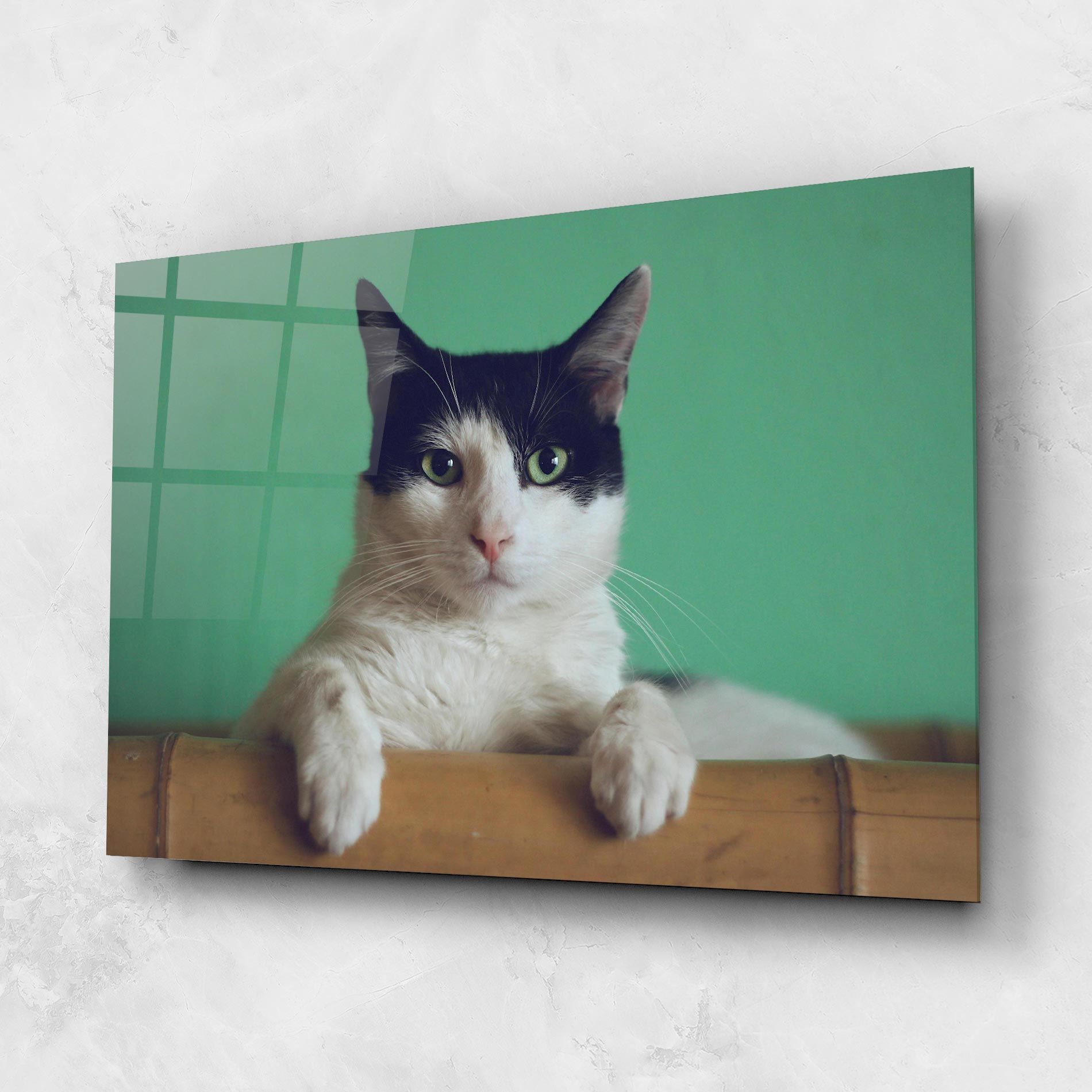 Black White Cat mockup 1