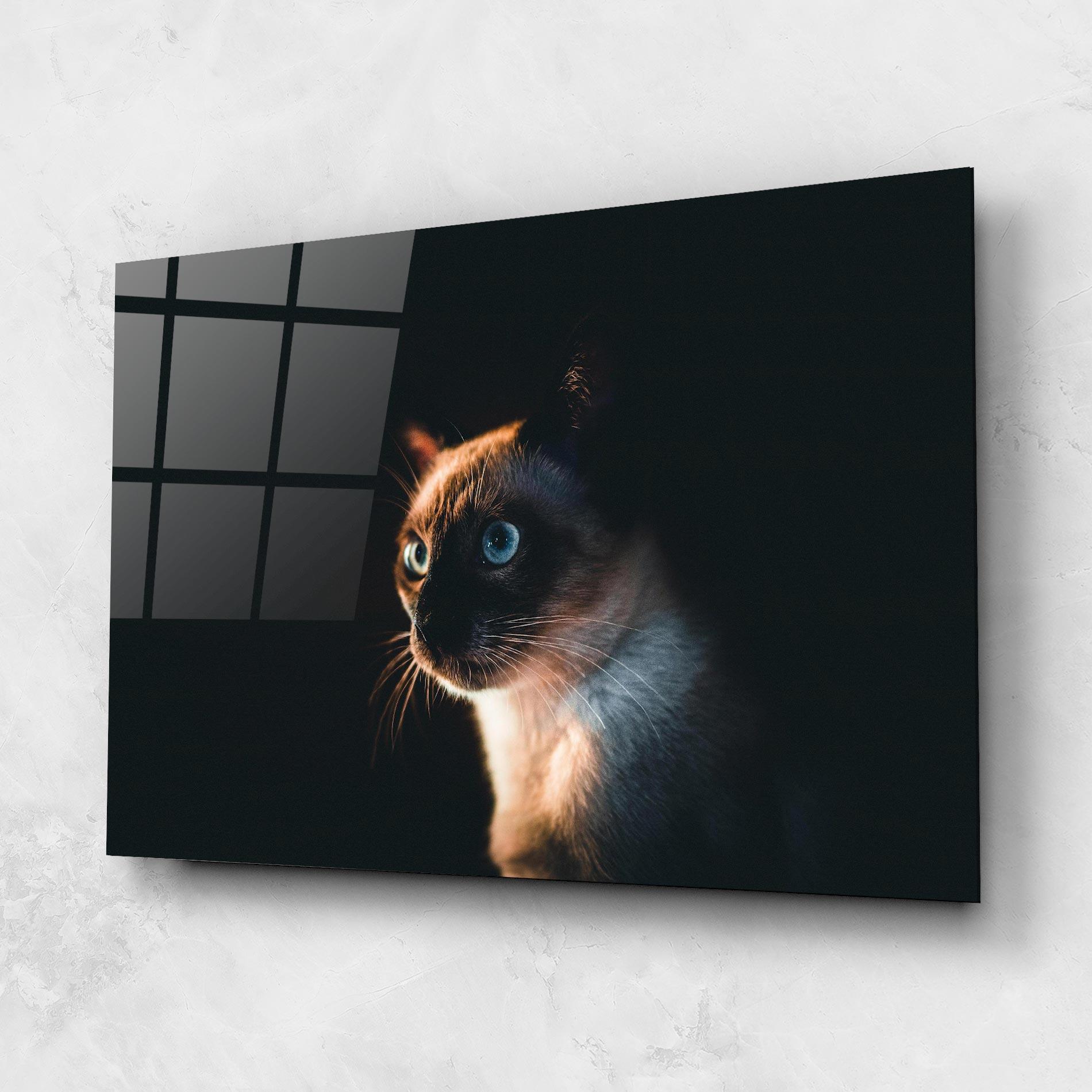Glasbild Blue Eyes Cat In Dark mockup 1