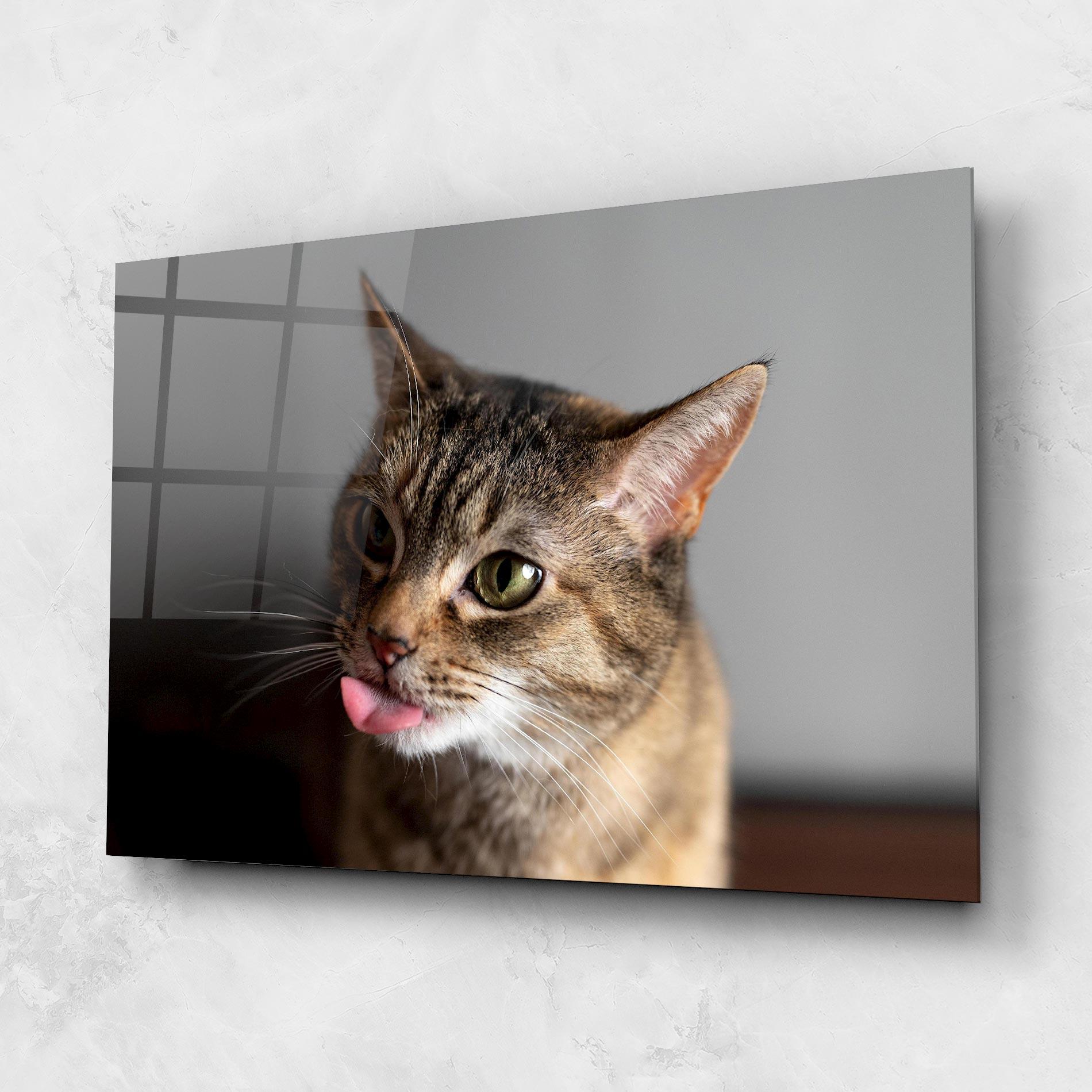 Glasbild Brown Green Eyes Cat mockup 1