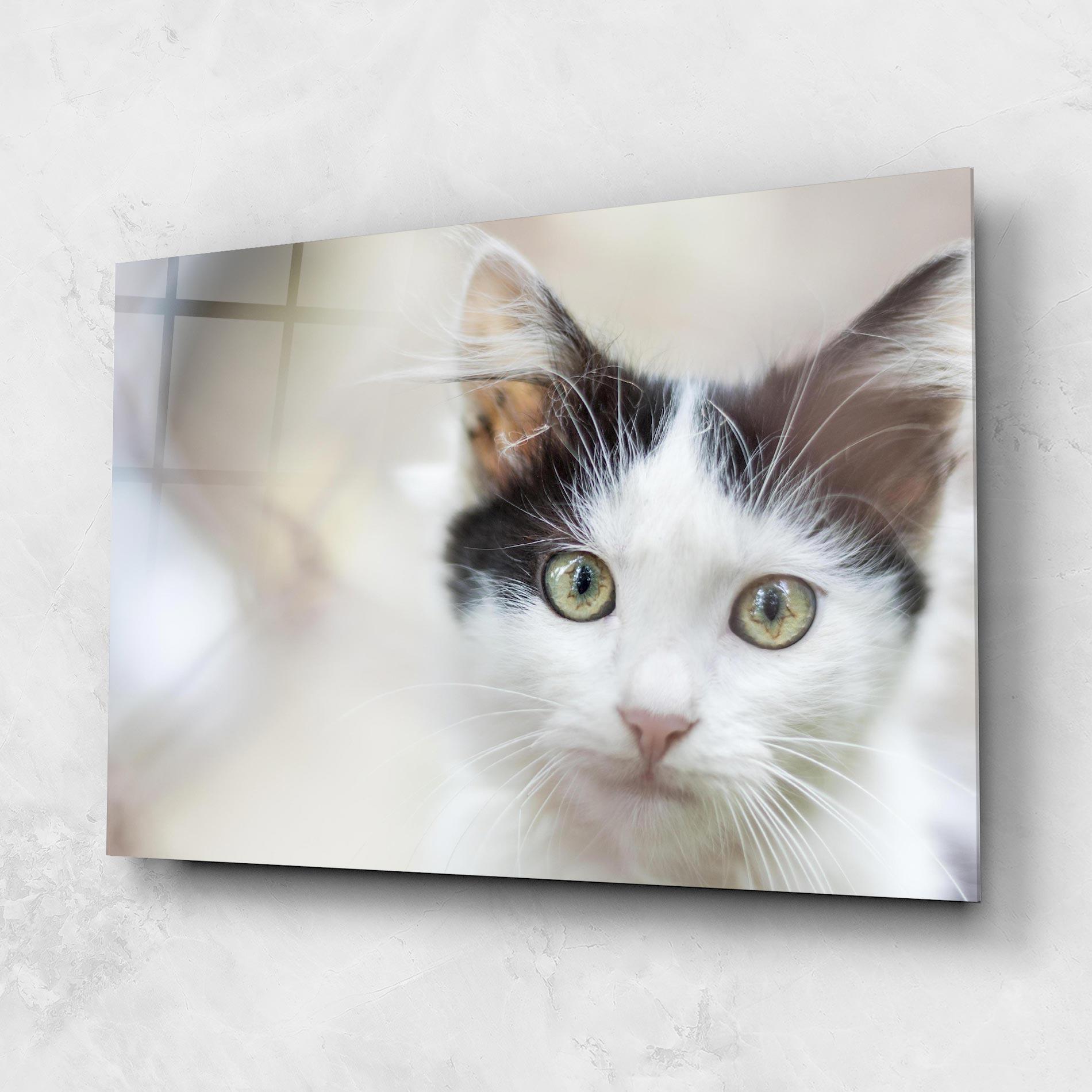 Glasbild Cutie Cat mockup 1