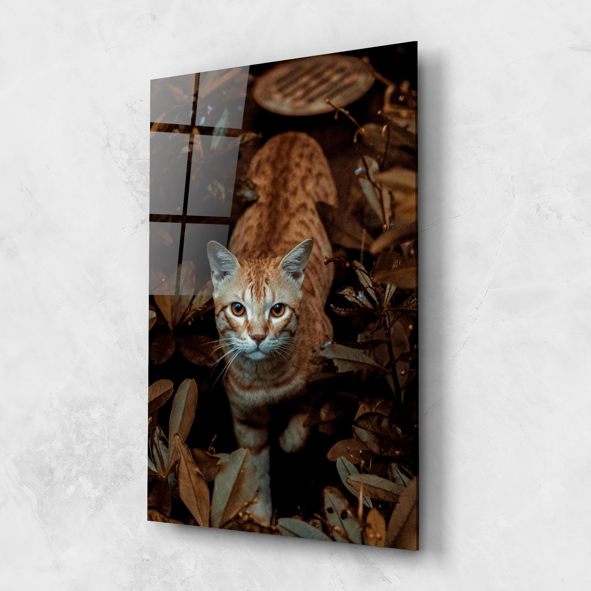 Glasbild Autumn Orange Cat mockup 1