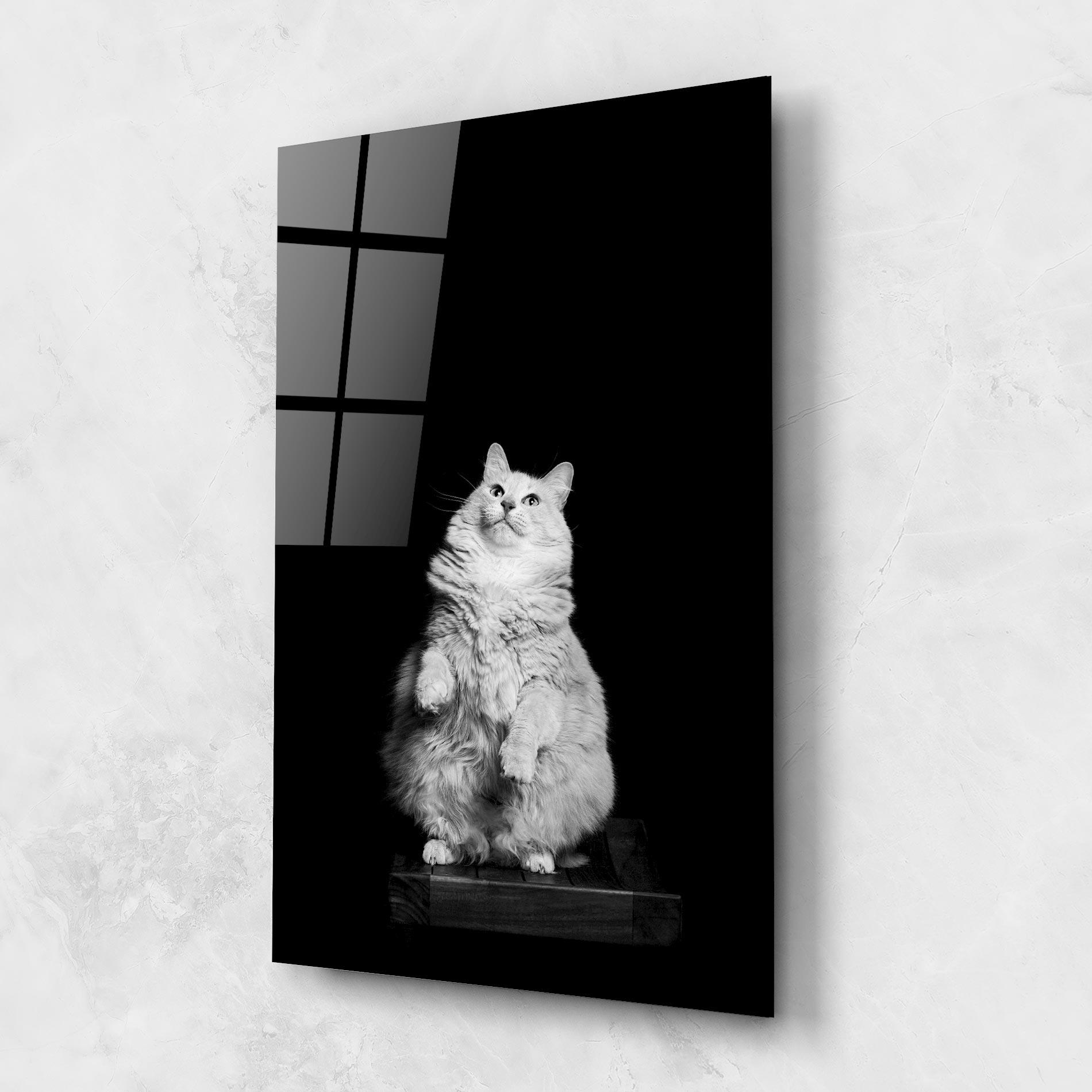 Glasbild Big Fluffy Cat mockup 1