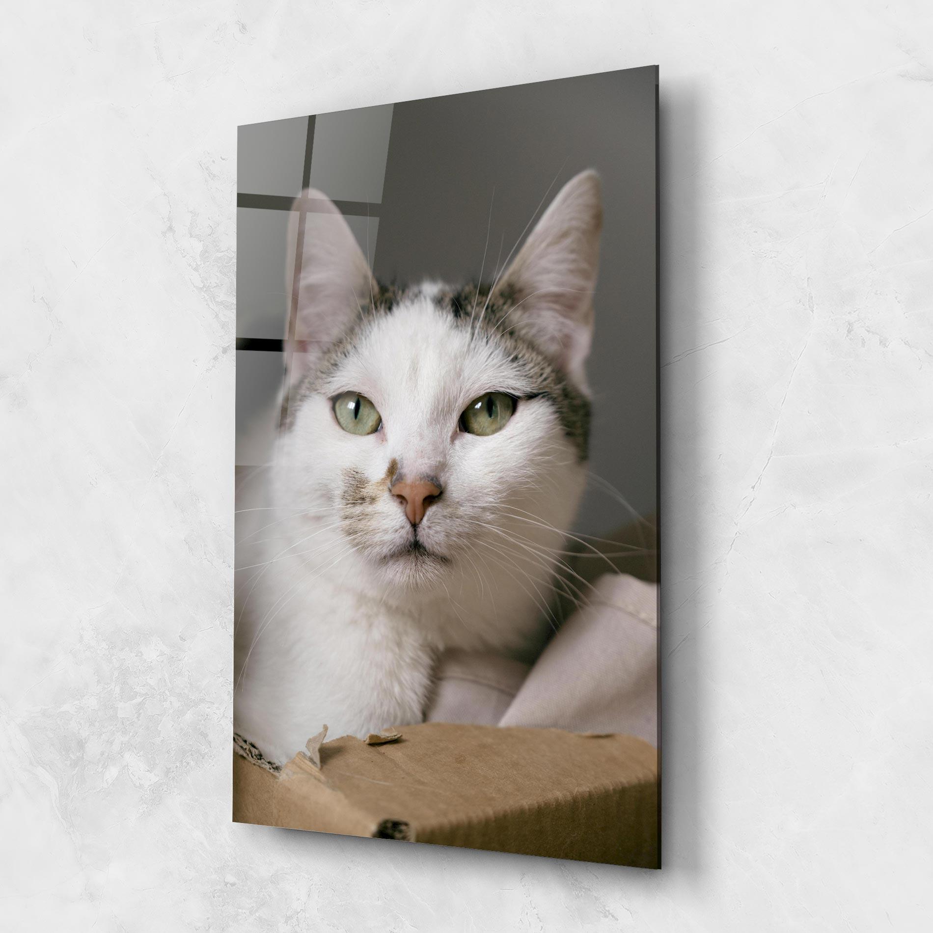 Glasbild Big Sleepy Cat mockup 1