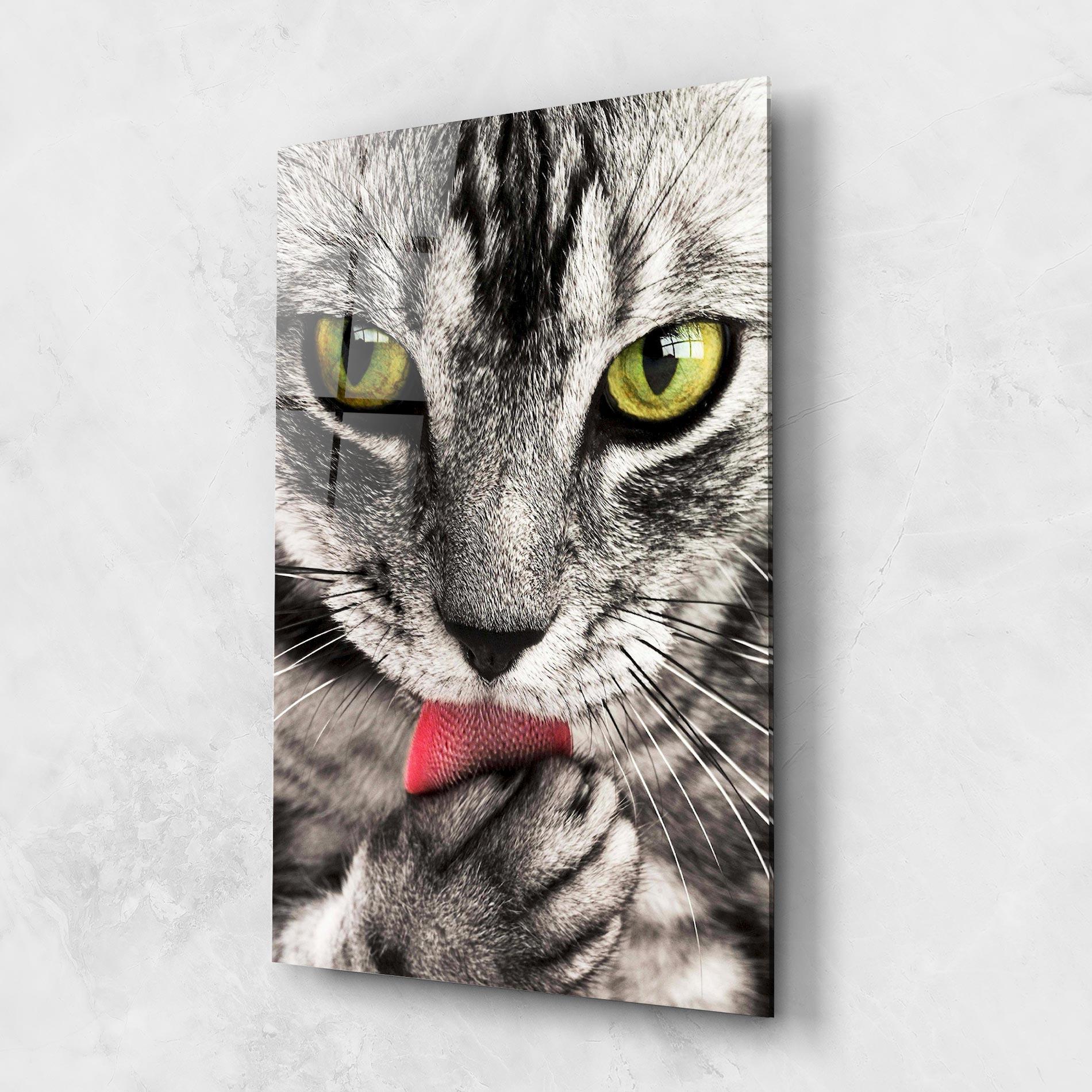 Glasbild Green Eyes Close Up Cat mockup 1