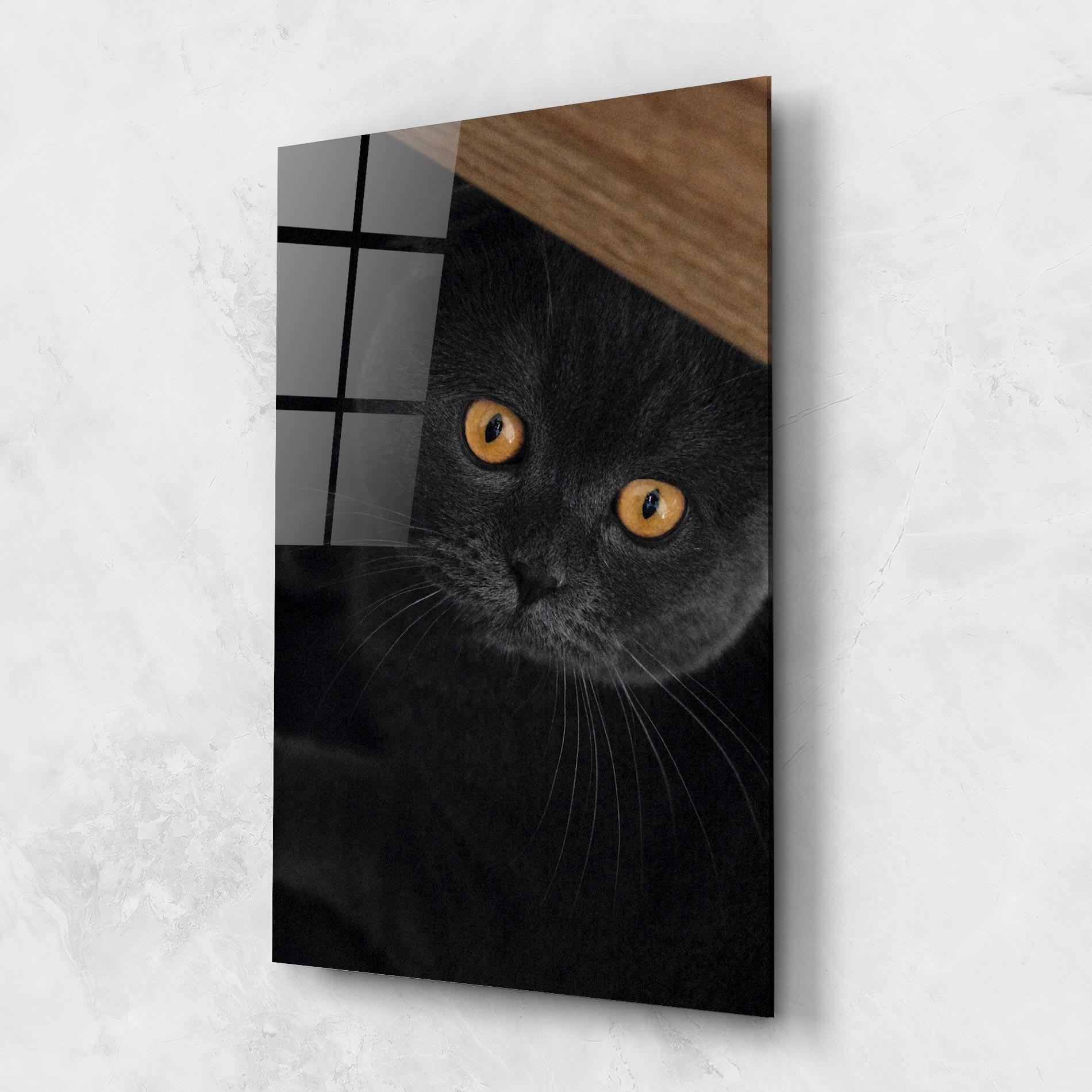Glasbild Grey Cat With Orange Eyes mockup 1
