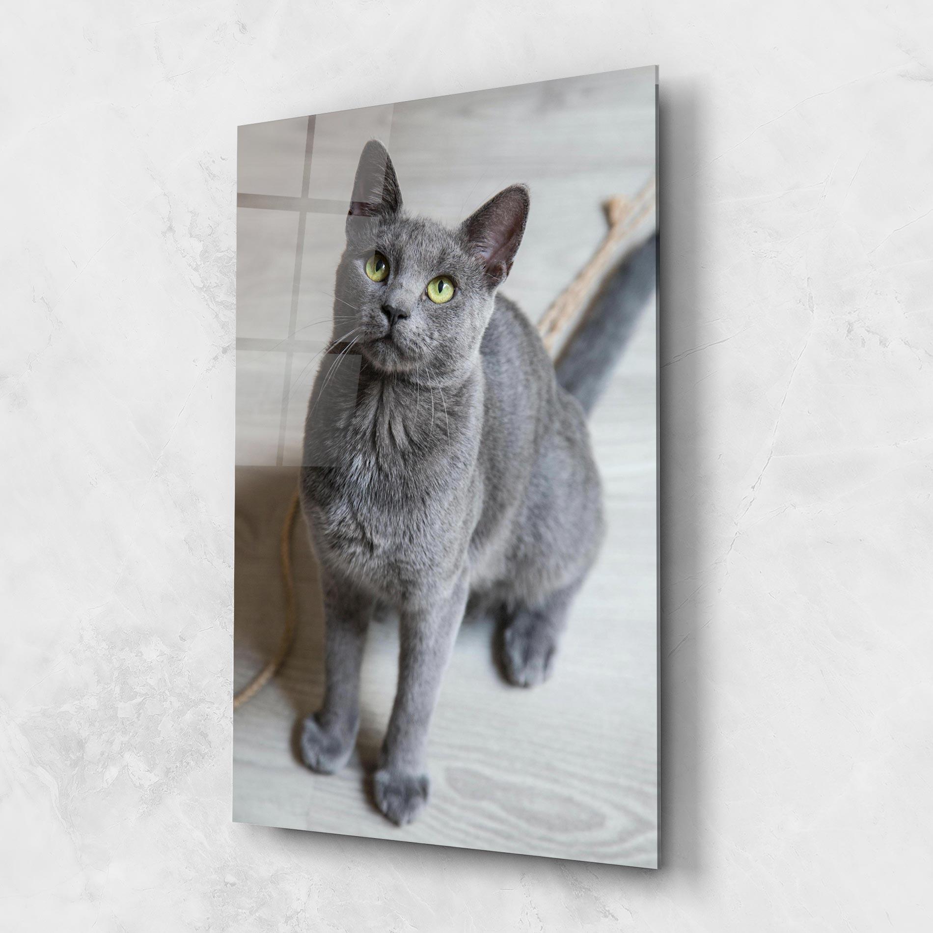 Glasbild Grey Green Cat Eyes mockup 1