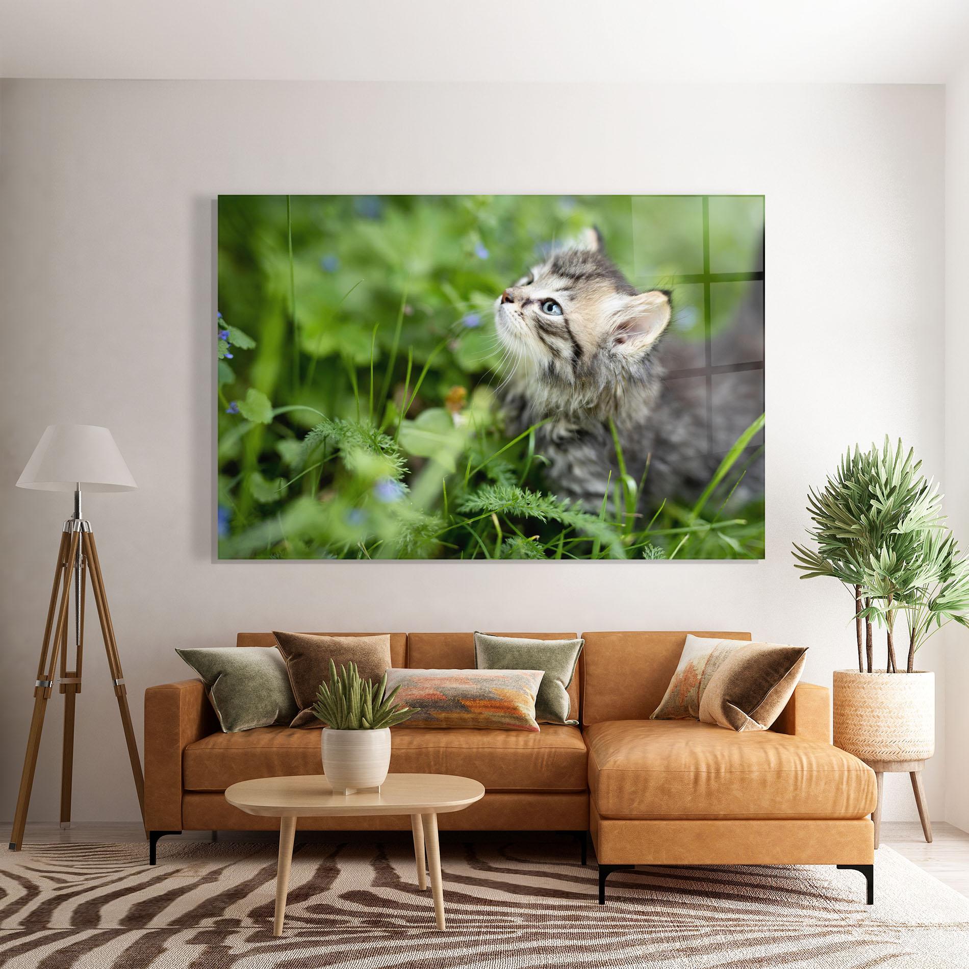 Glasbild Brown Baby Cat mockup 7