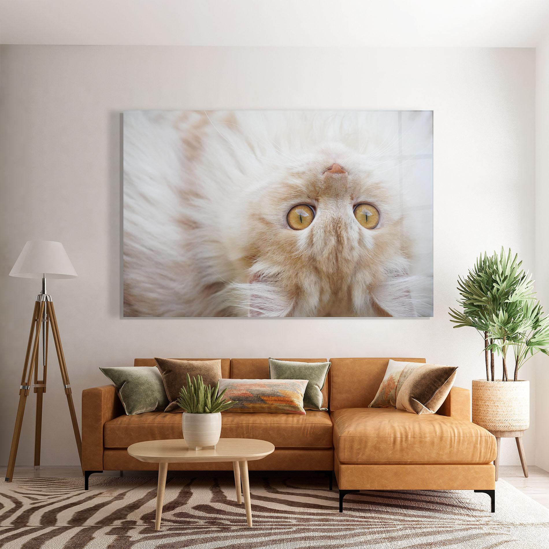 Glasbild Close Up Yellow Eyes Cat mockup 7