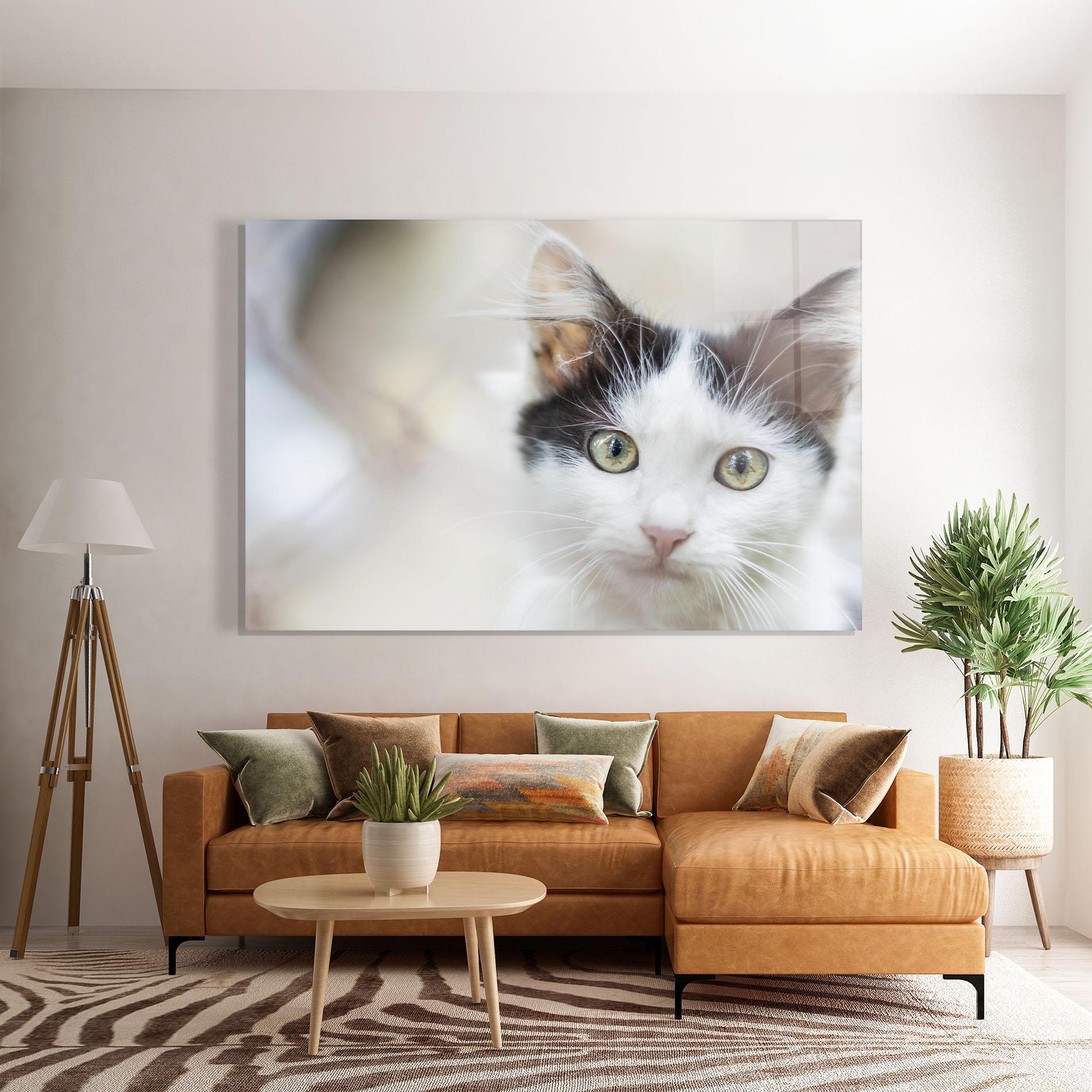 Glasbild Cutie Cat mockup 7