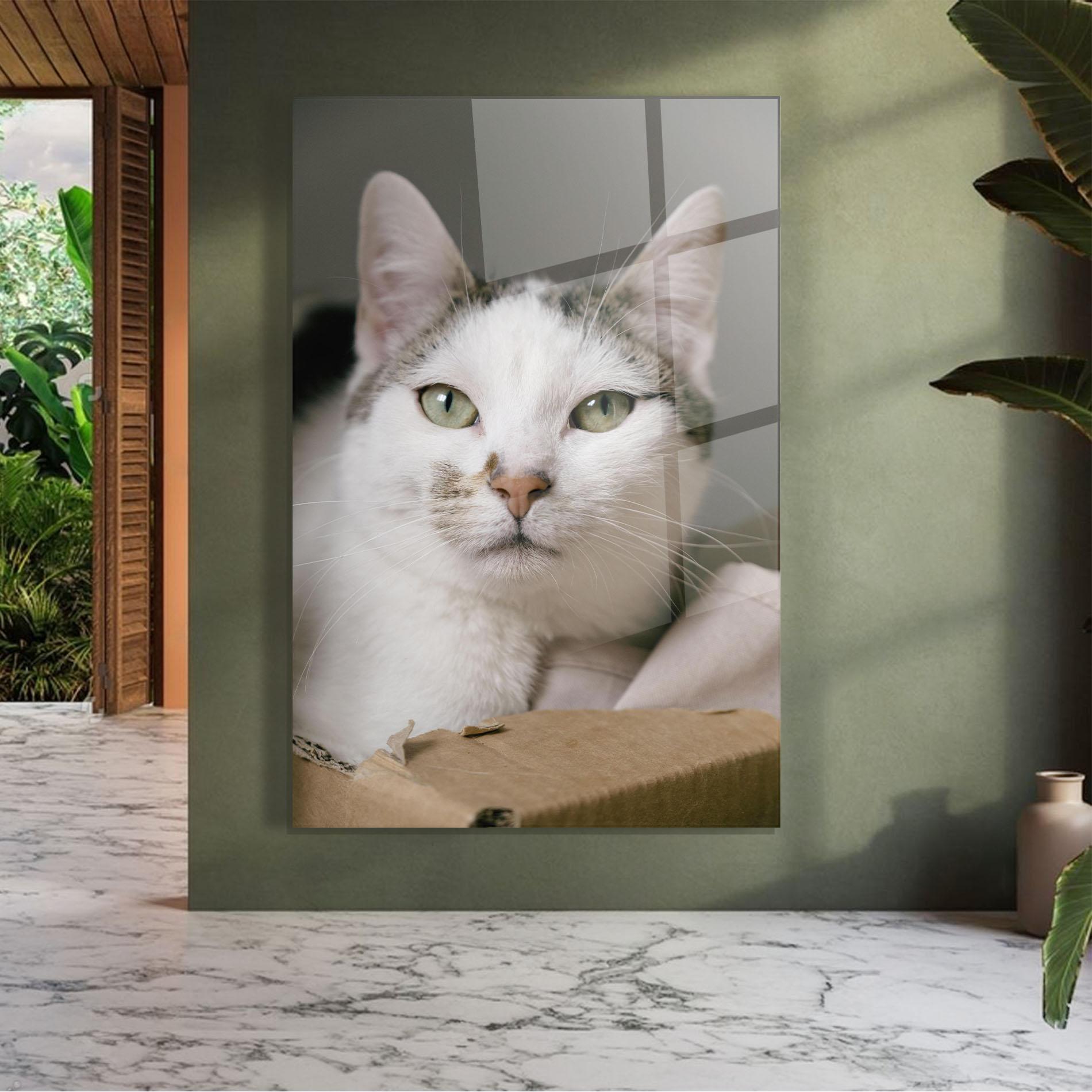 Glasbild Big Sleepy Cat mockup 7