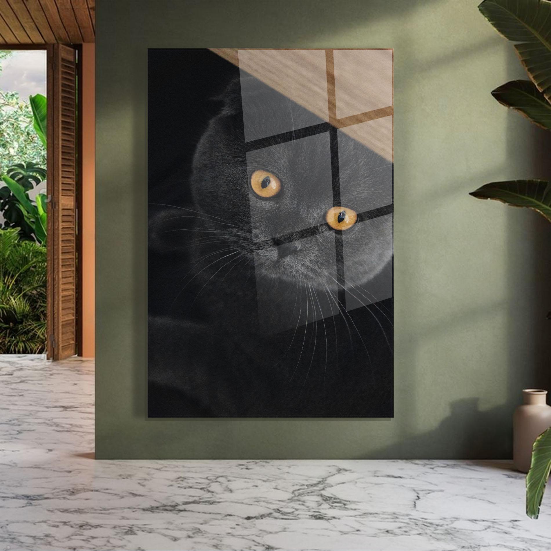 Glasbild Grey Cat With Orange Eyes mockup 7