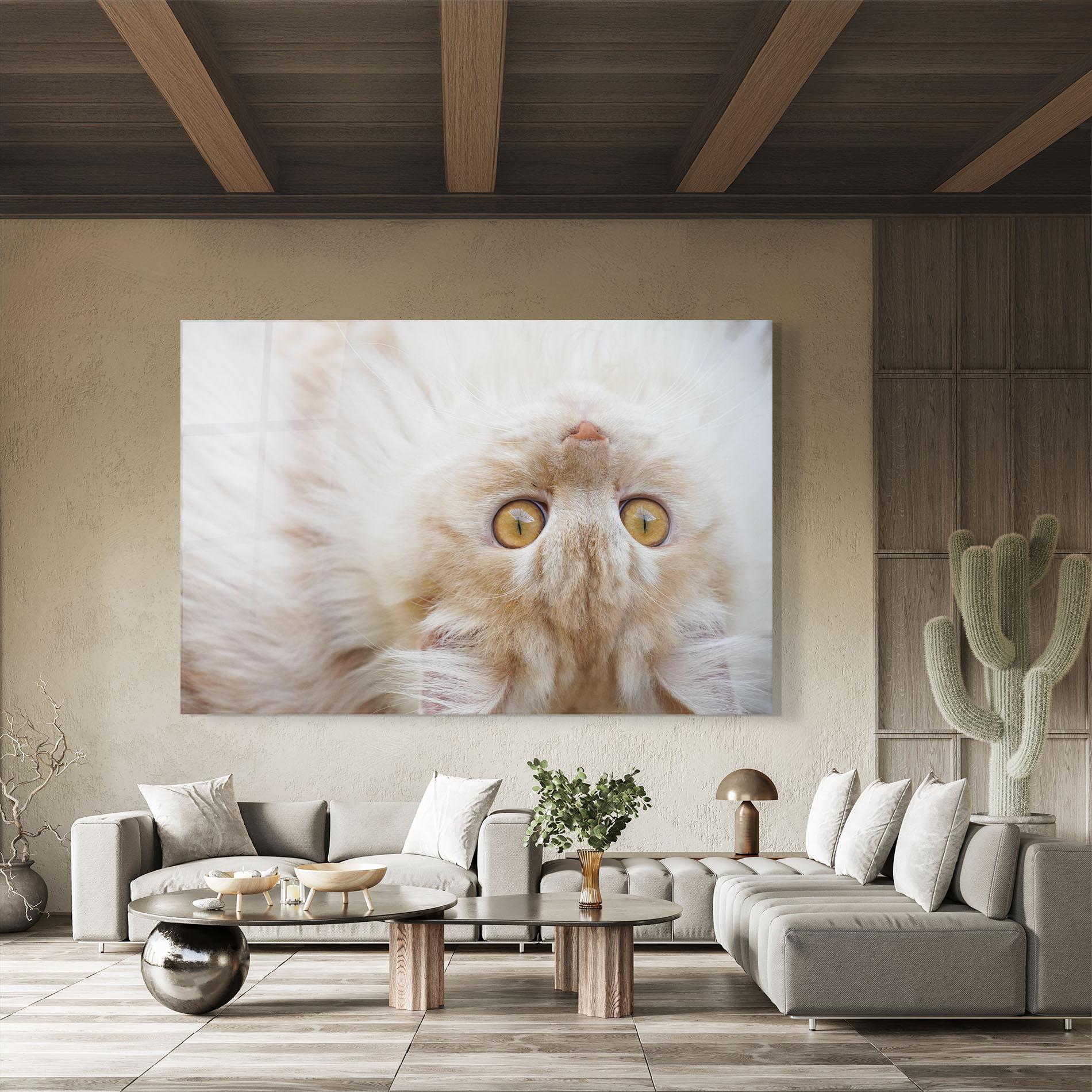 Glasbild Close Up Yellow Eyes Cat mockup 8