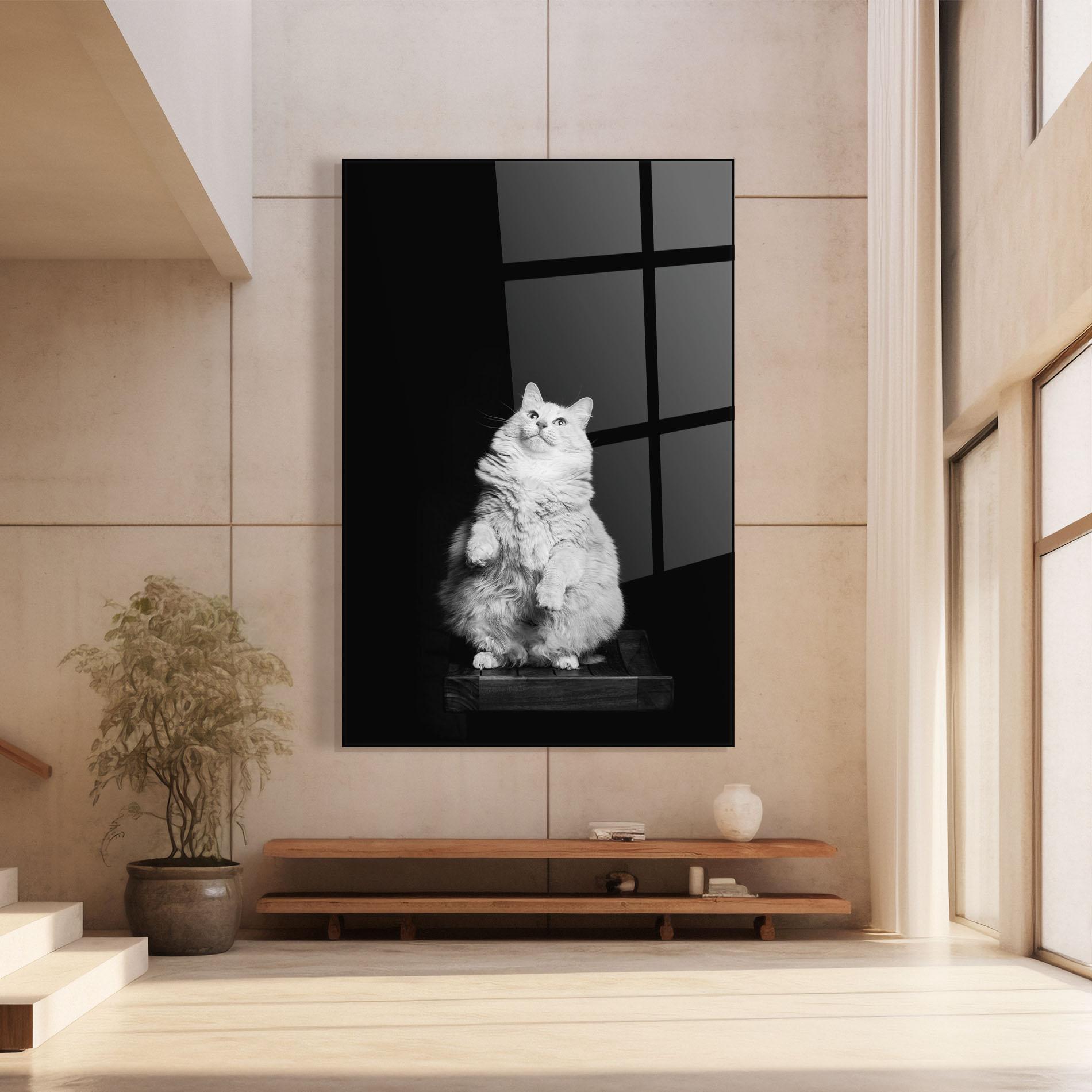 Glasbild Big Fluffy Cat mockup 8