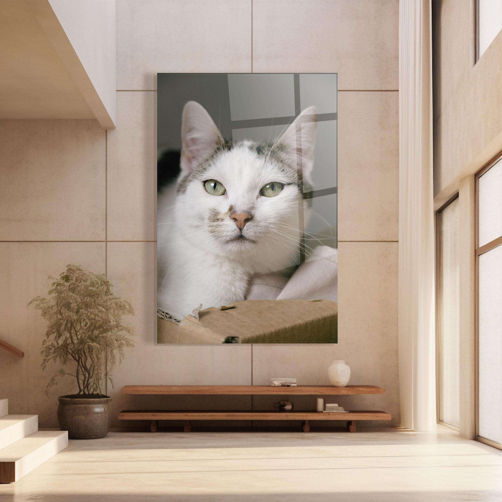 Glasbild Big Sleepy Cat mockup 8