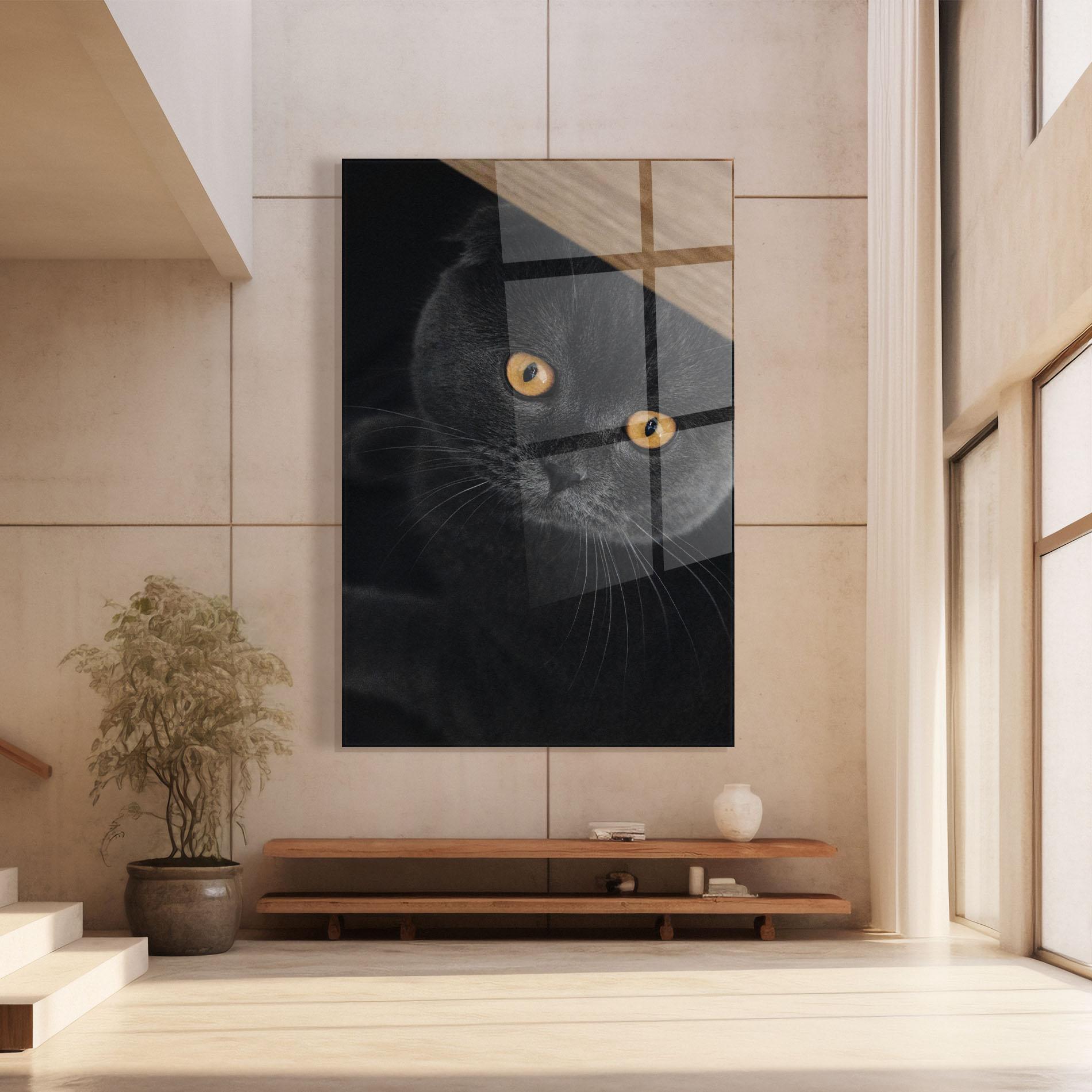Glasbild Grey Cat With Orange Eyes mockup 8