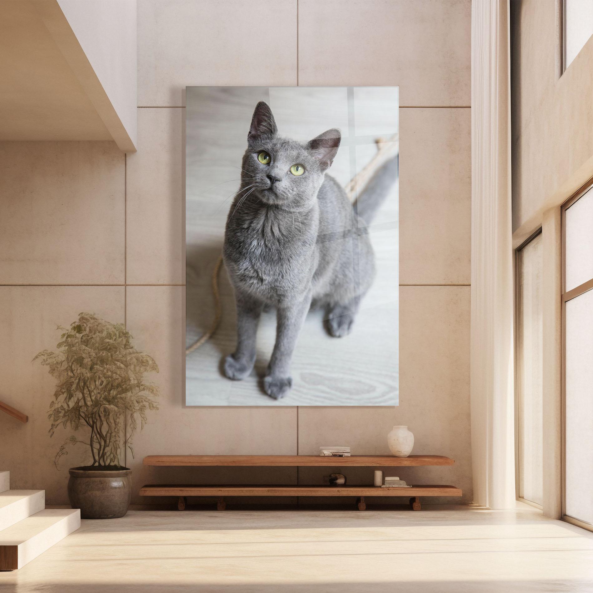 Glasbild Grey Green Cat Eyes mockup 8