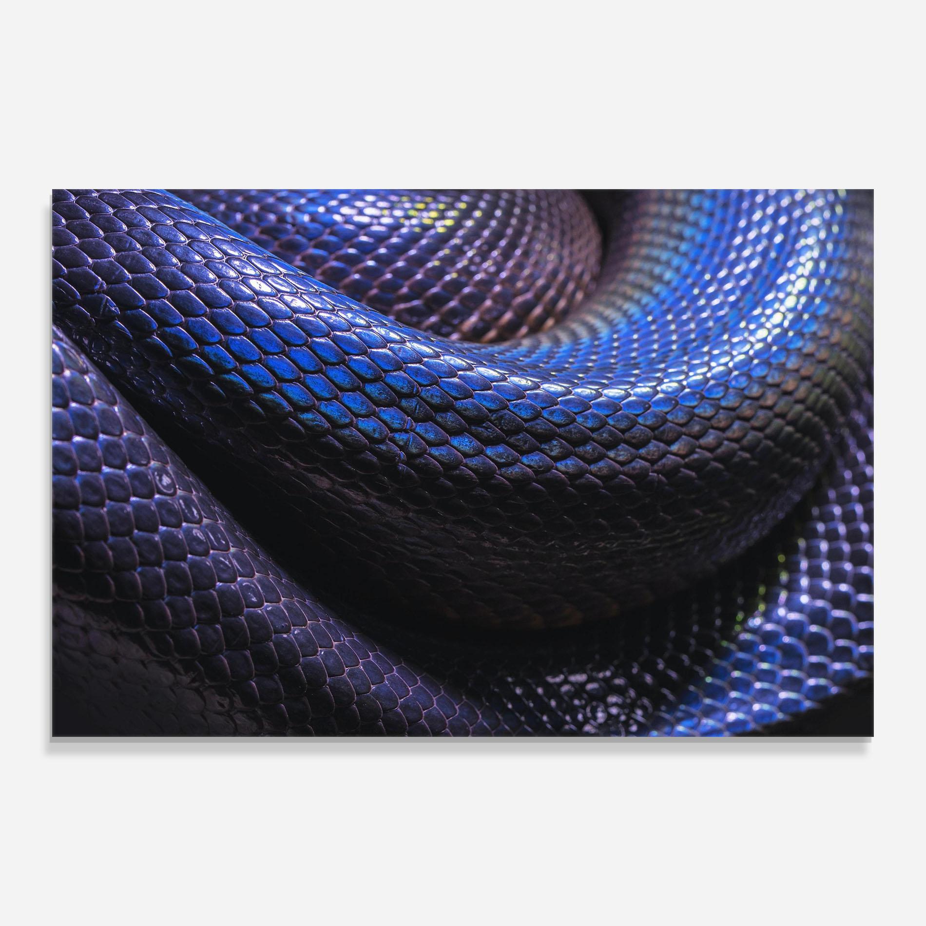 Glasbild Snake Skin mockup 0