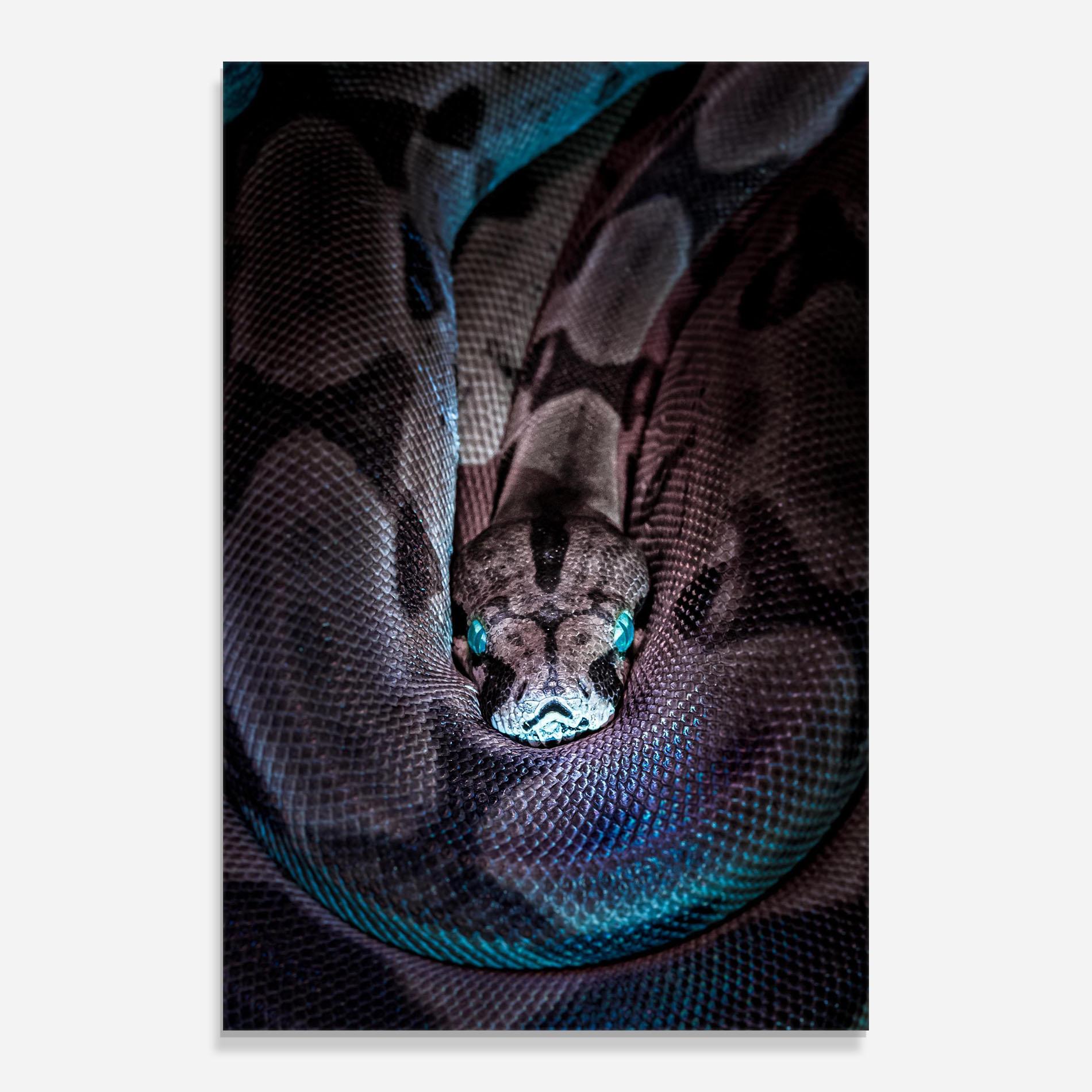 Glasbild Vibrant Snake mockup 0