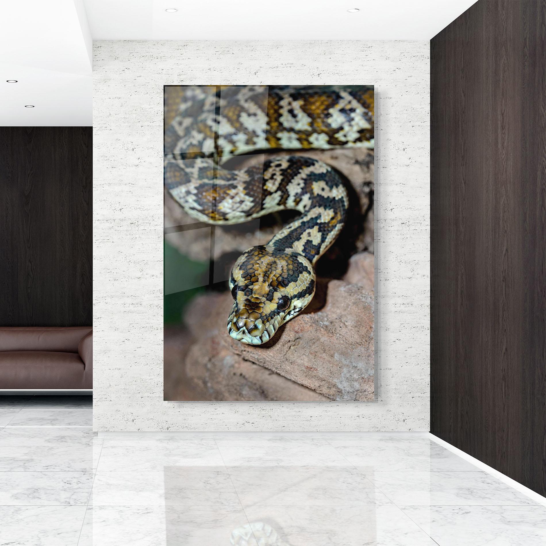 Glasbild King Snake mockup 9