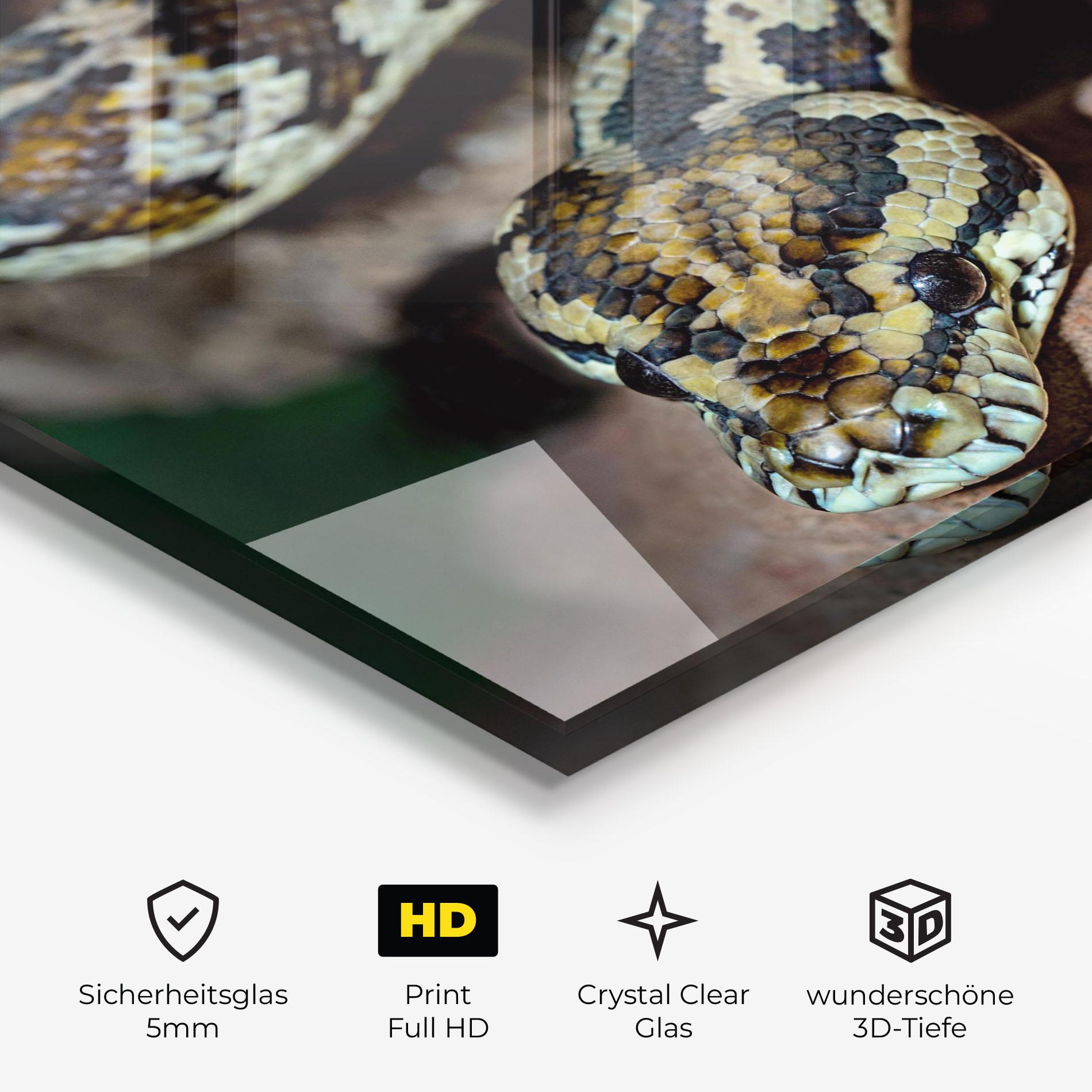 Glasbild King Snake mockup 3