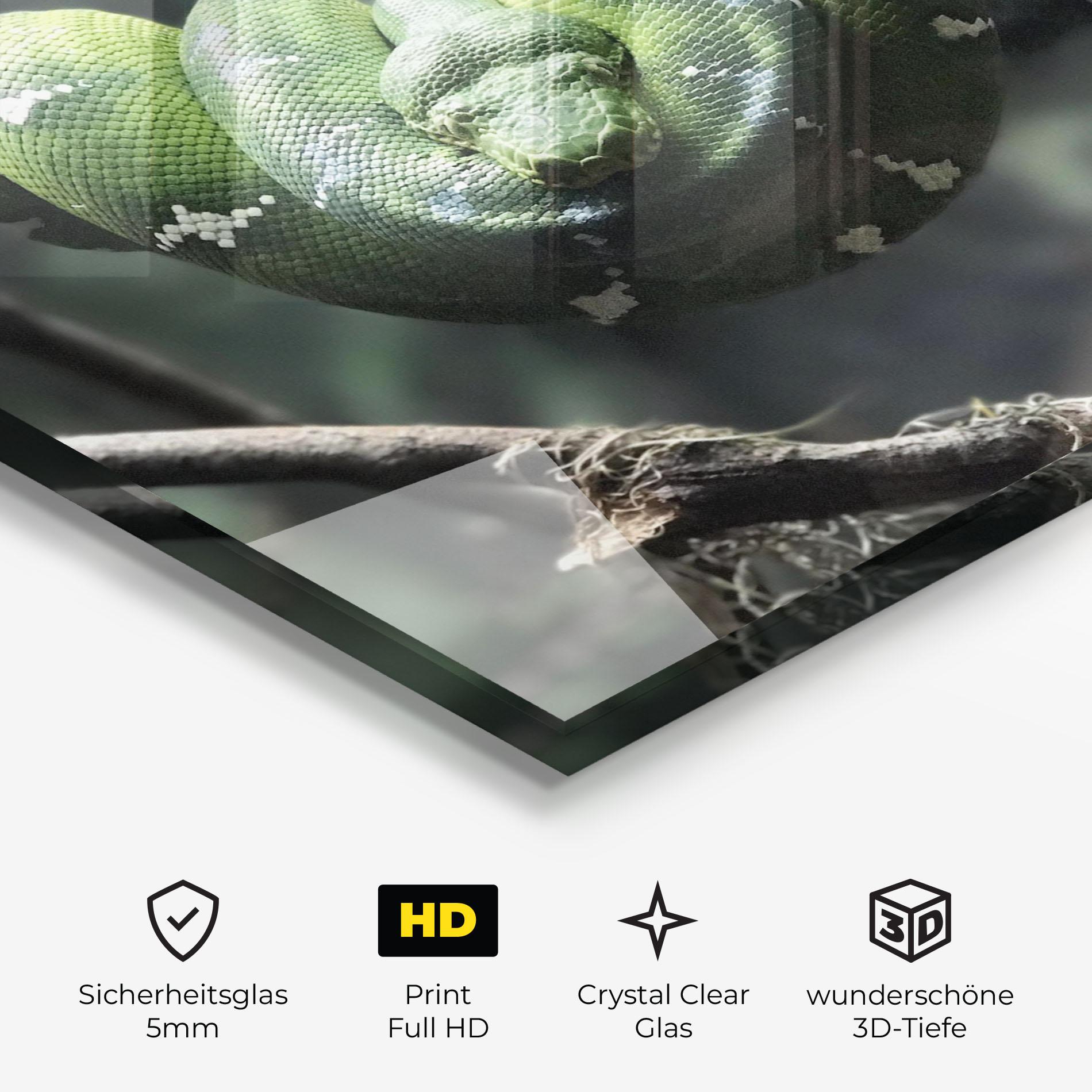 Glasbild Sleepy Snake mockup 3