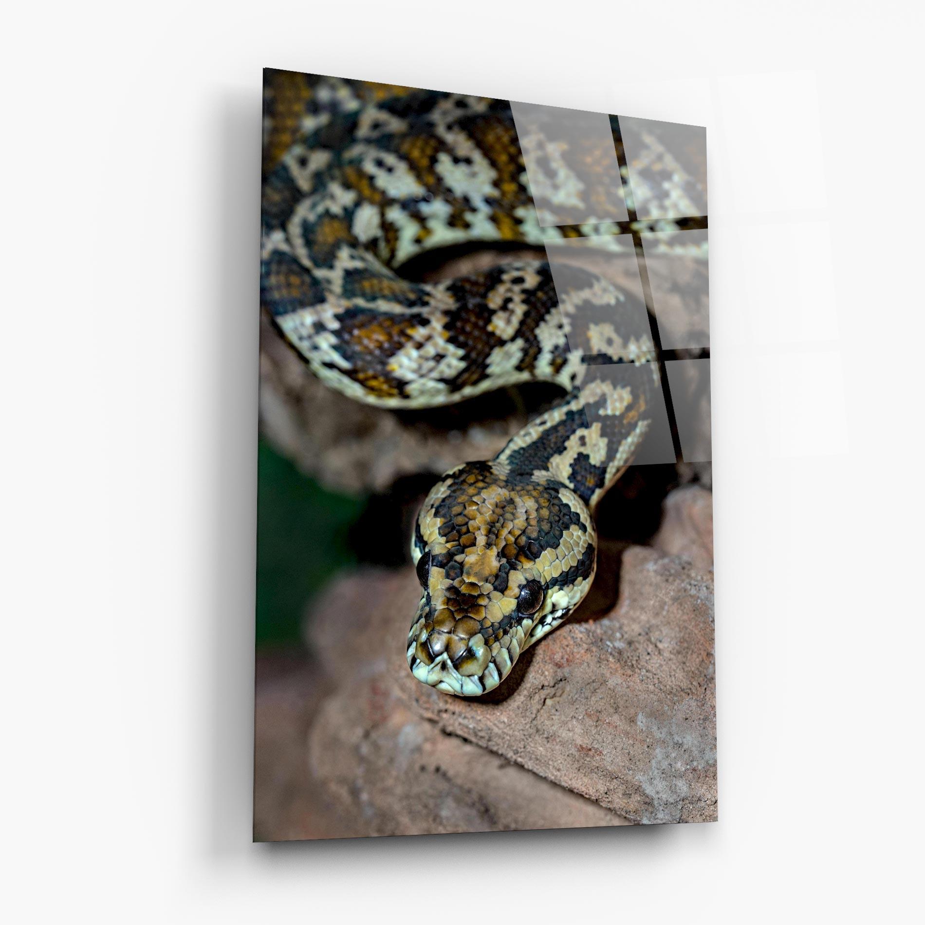 Glasbild King Snake mockup 6