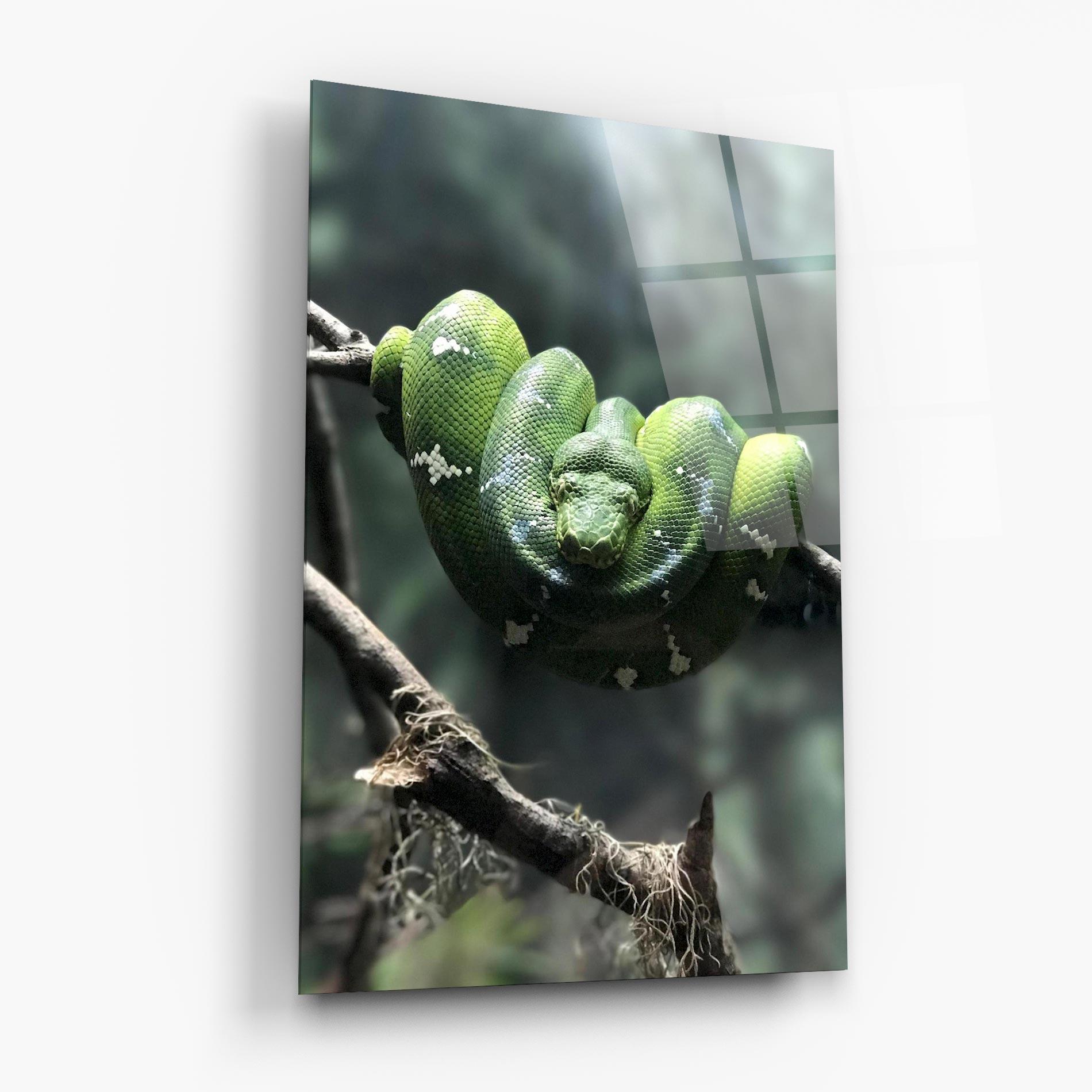 Glasbild Sleepy Snake mockup 6