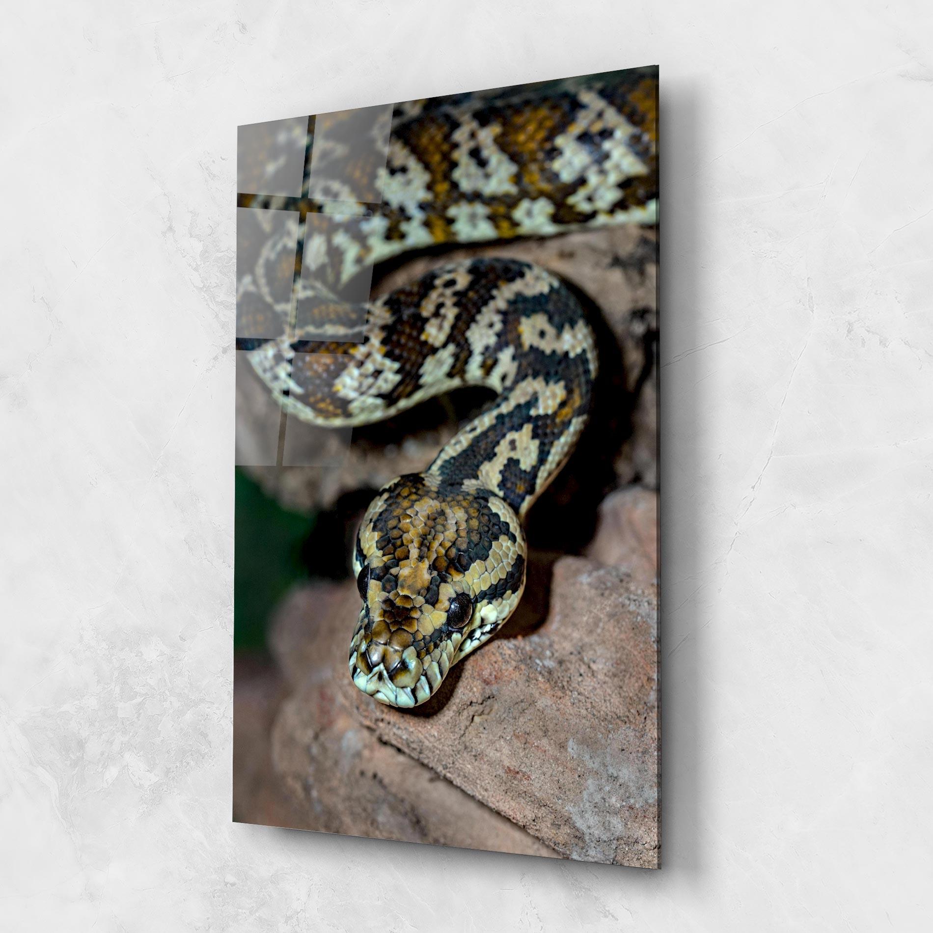 Glasbild King Snake mockup 1