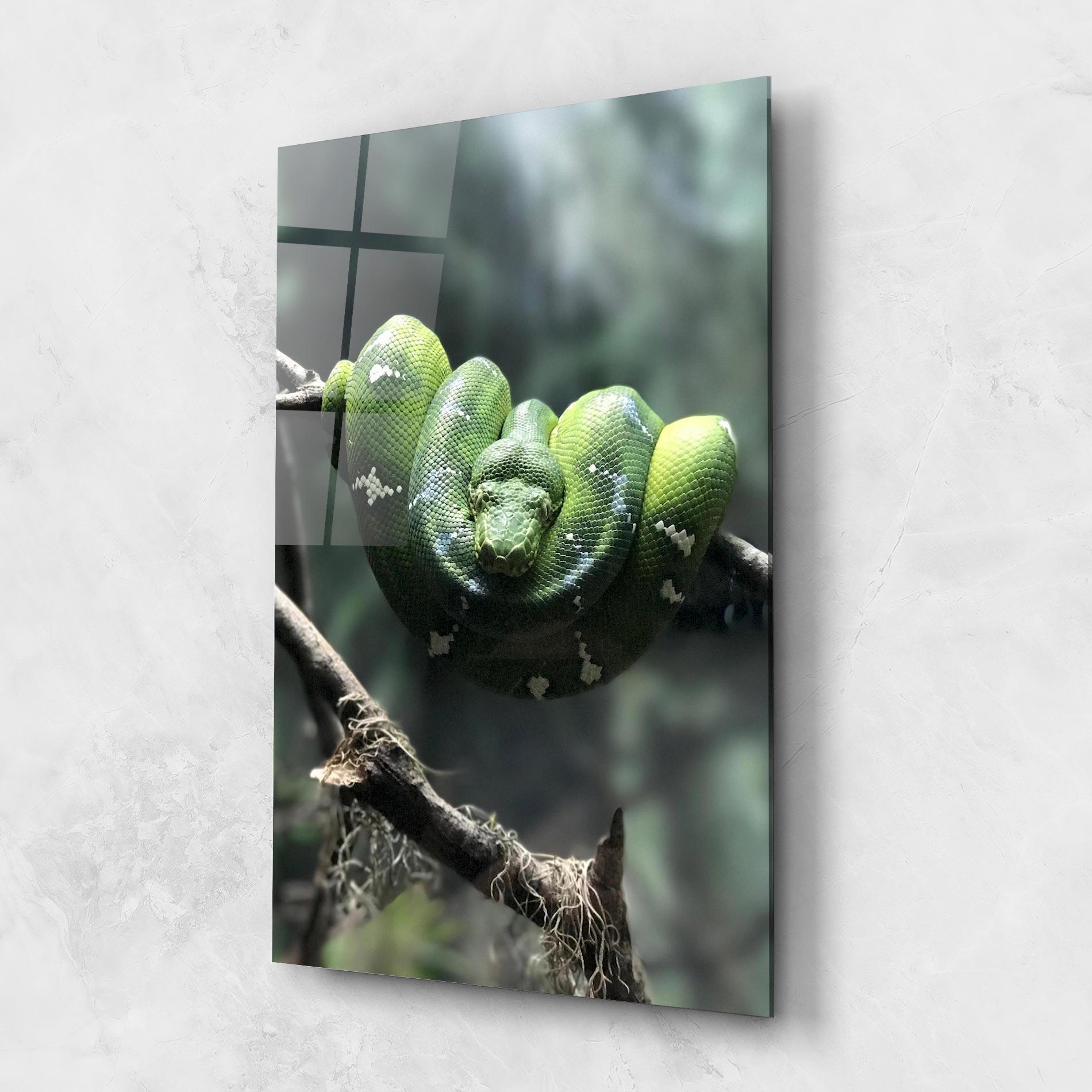 Glasbild Sleepy Snake mockup 1