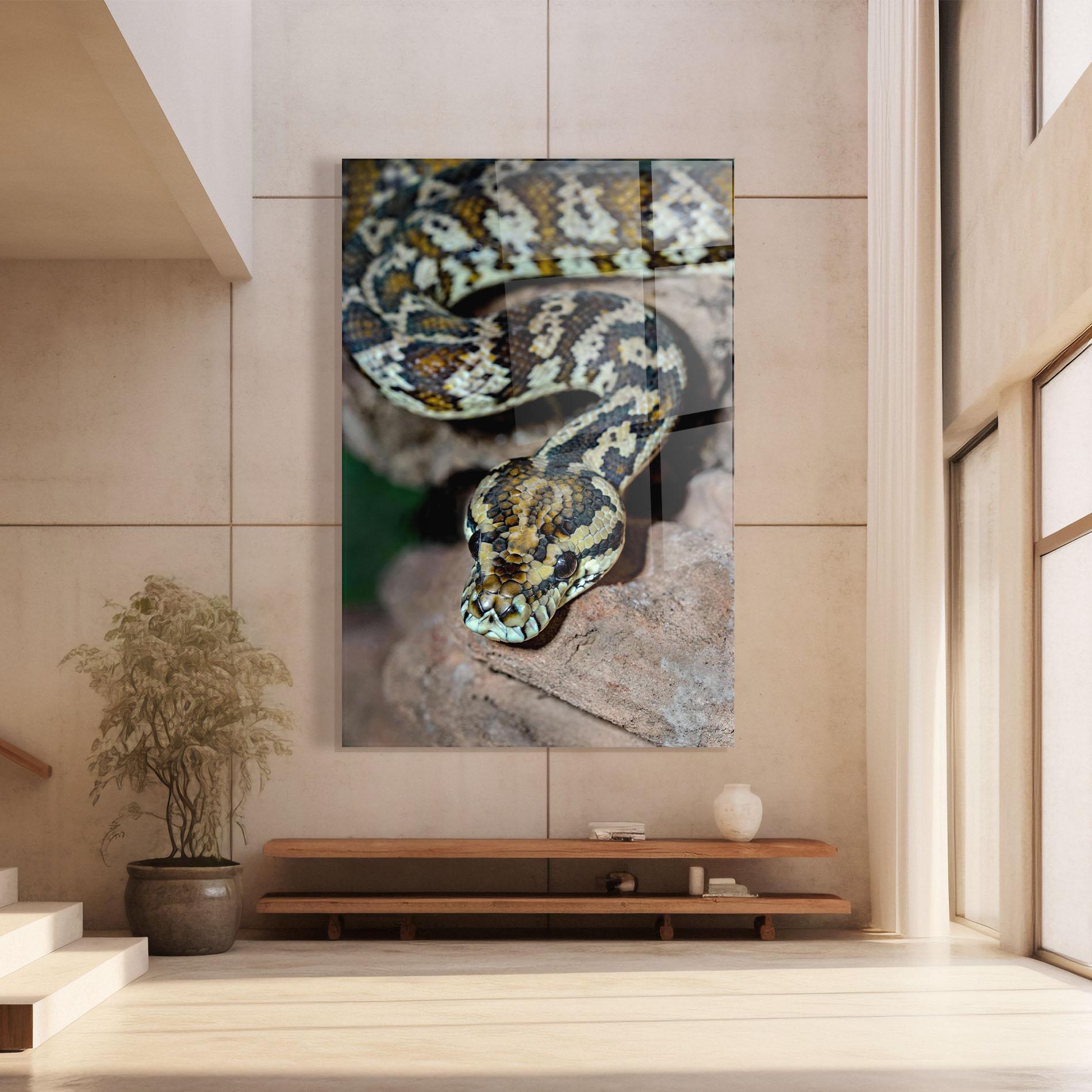 Glasbild King Snake mockup 8