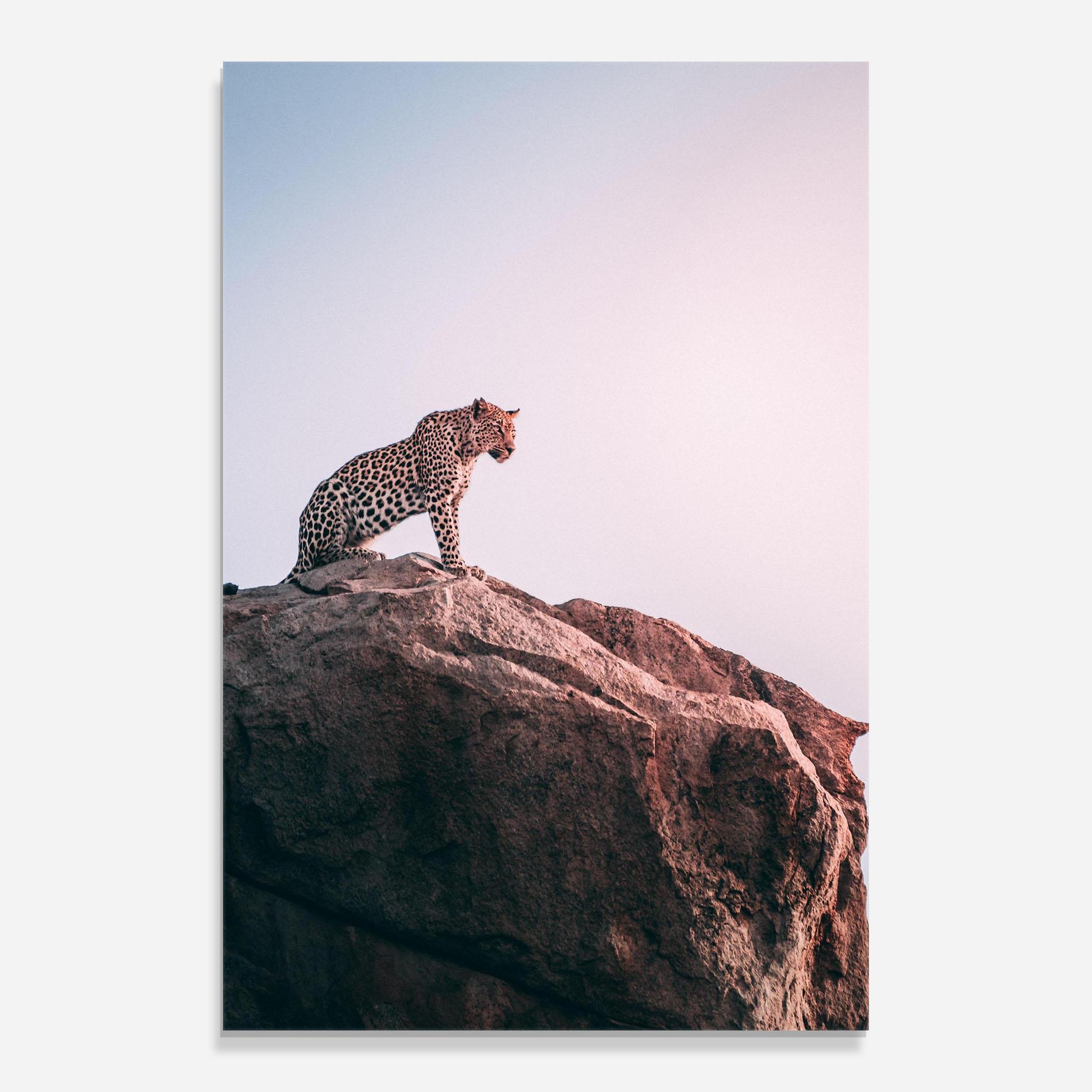 Glasbild Mountain Leopard mockup 0