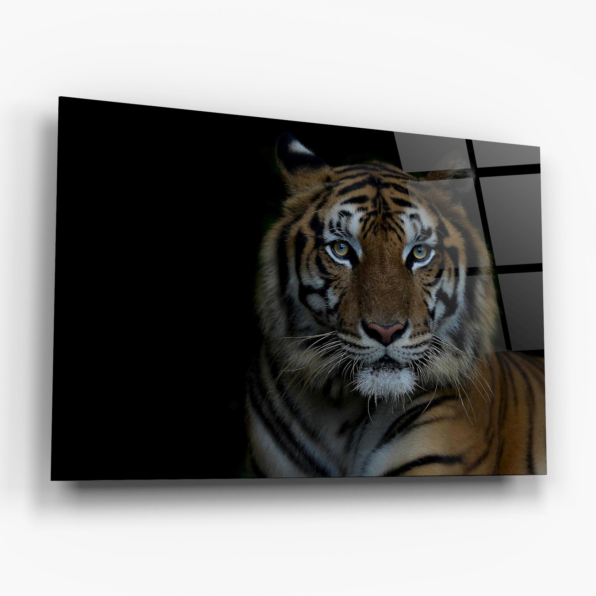 Glasbild Close Up Tiger mockup 6