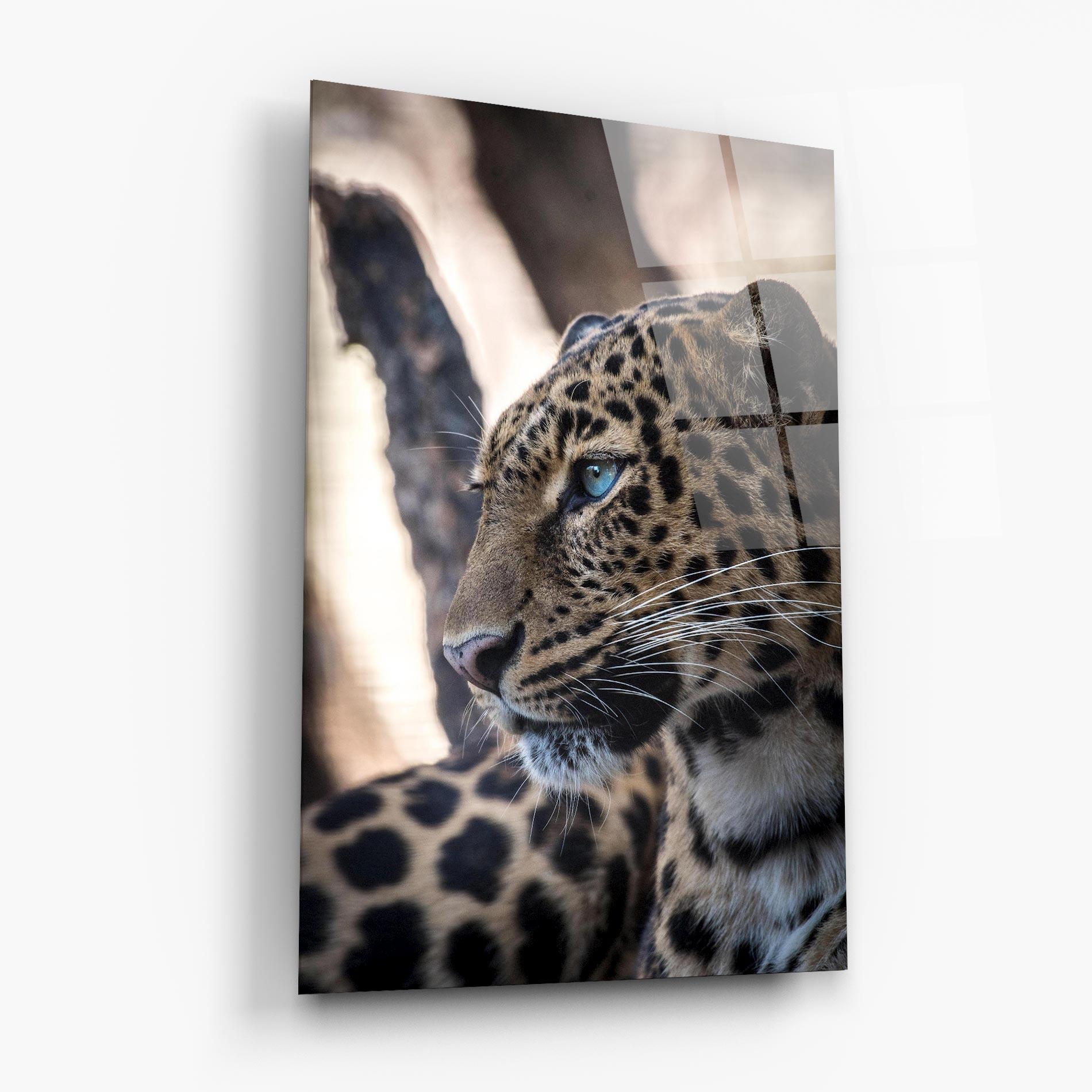 Glasbild Blue Tiger mockup 6