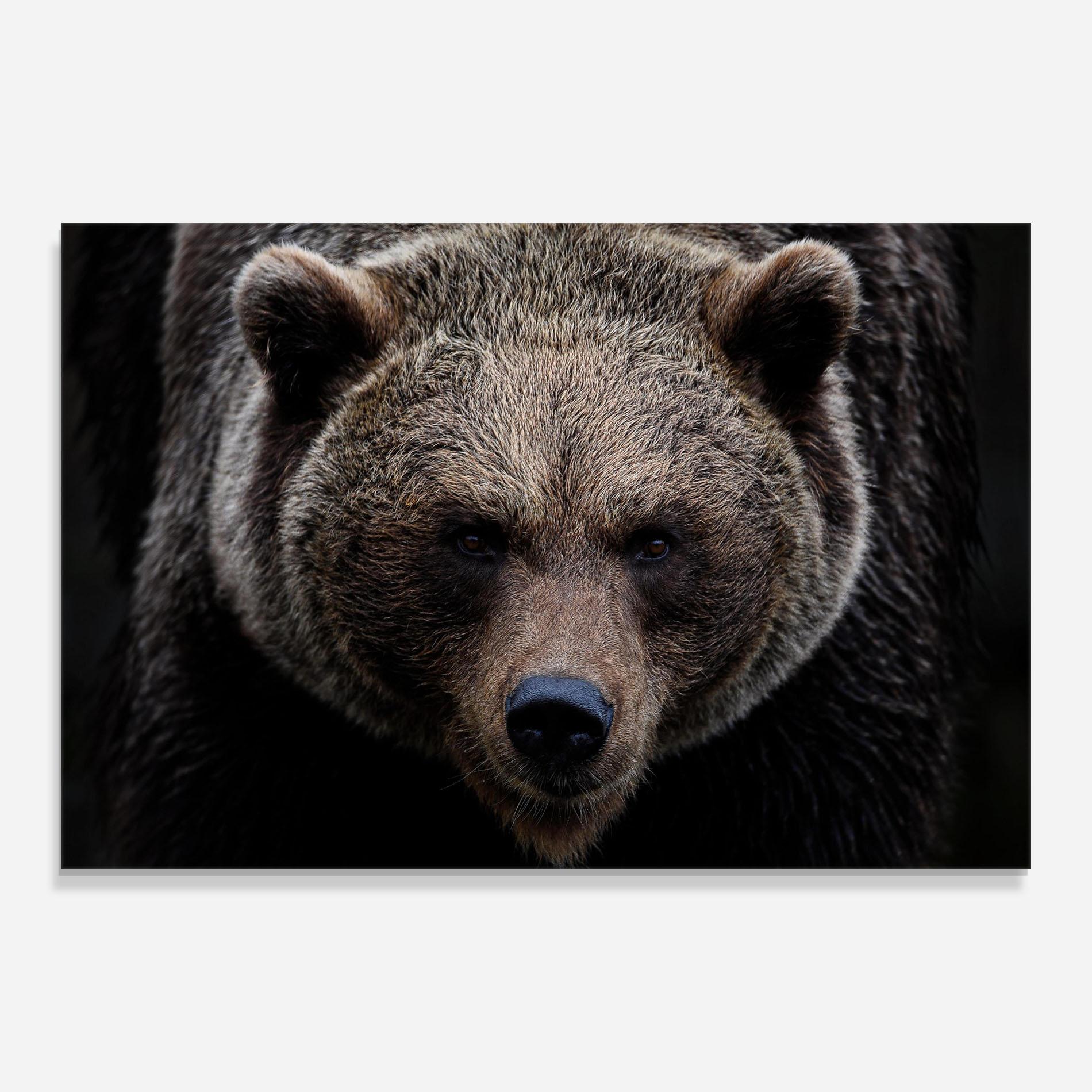 Glasbild Brown Bear mockup 0