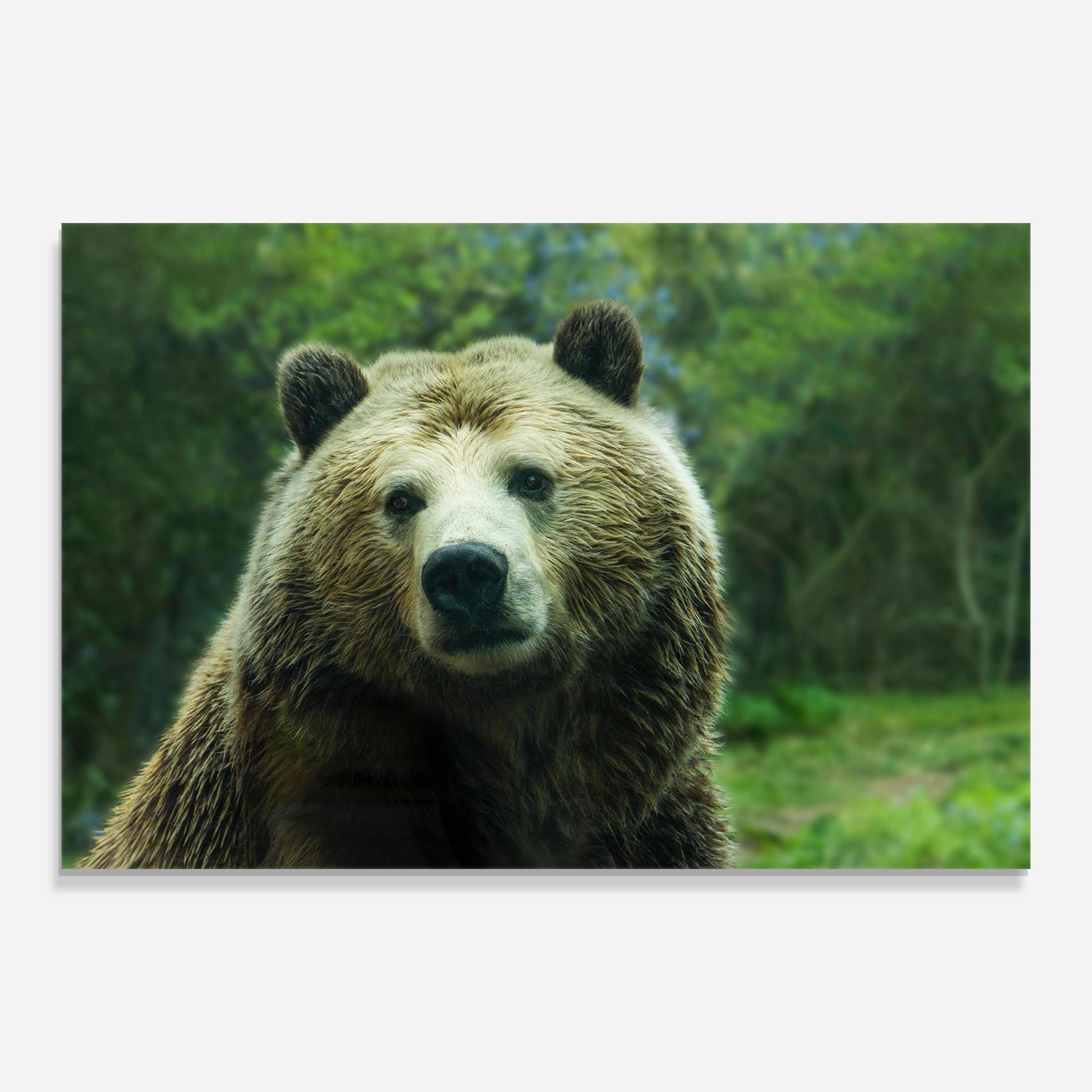 Glasbild Green Bear mockup 0
