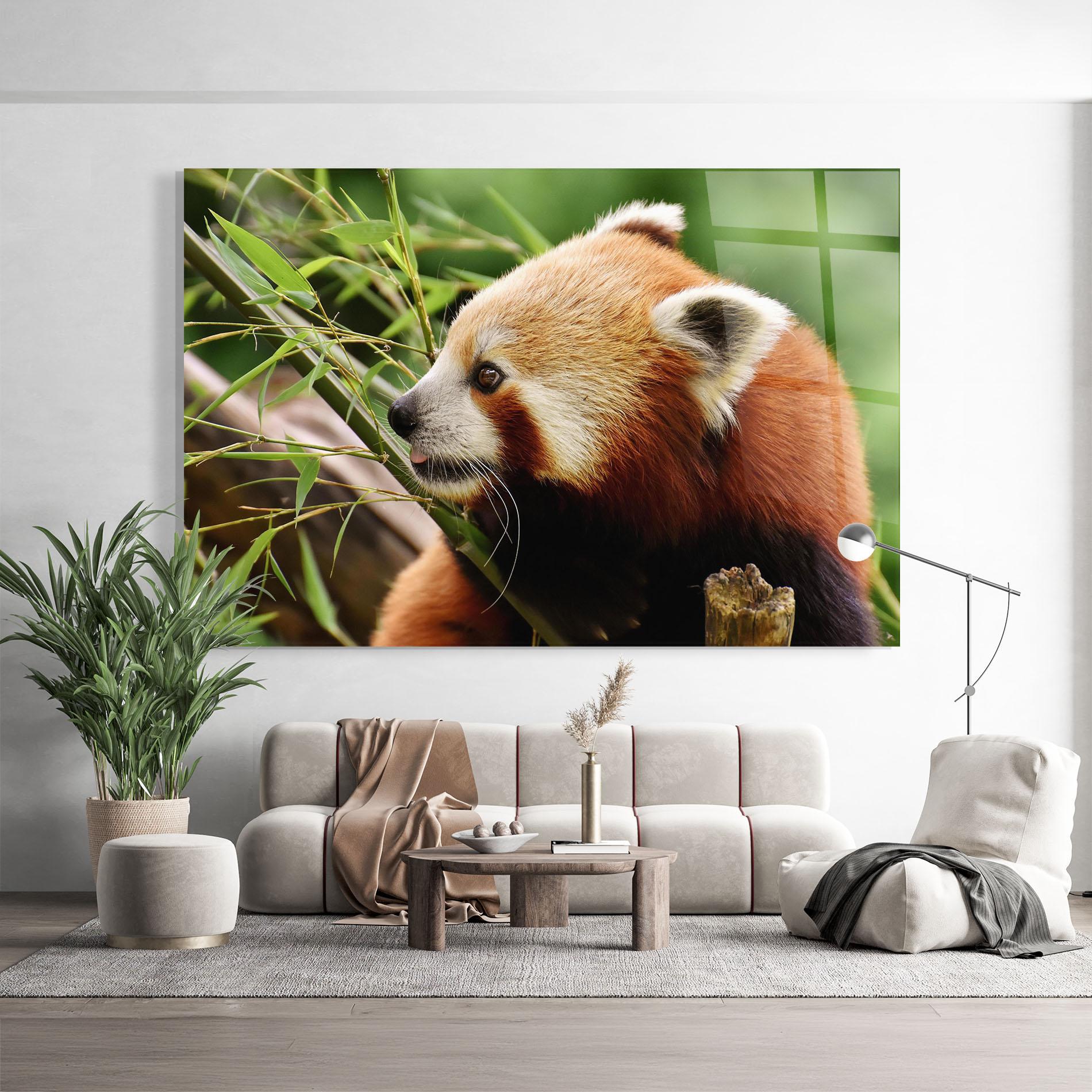 Glasbild Cute Red Panda mockup 9