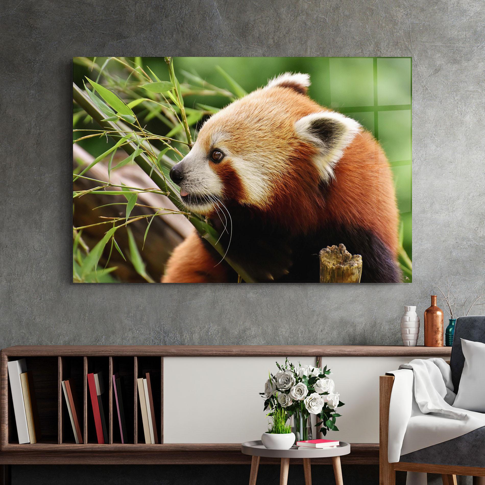 Glasbild Cute Red Panda mockup 2