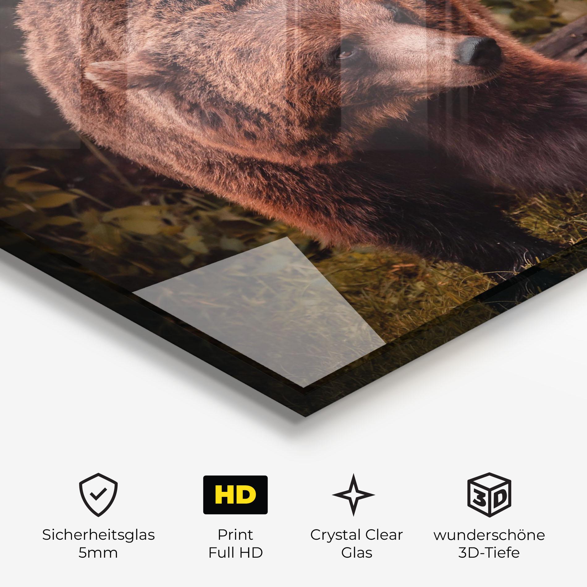 Glasbild Brown Bear mockup 3