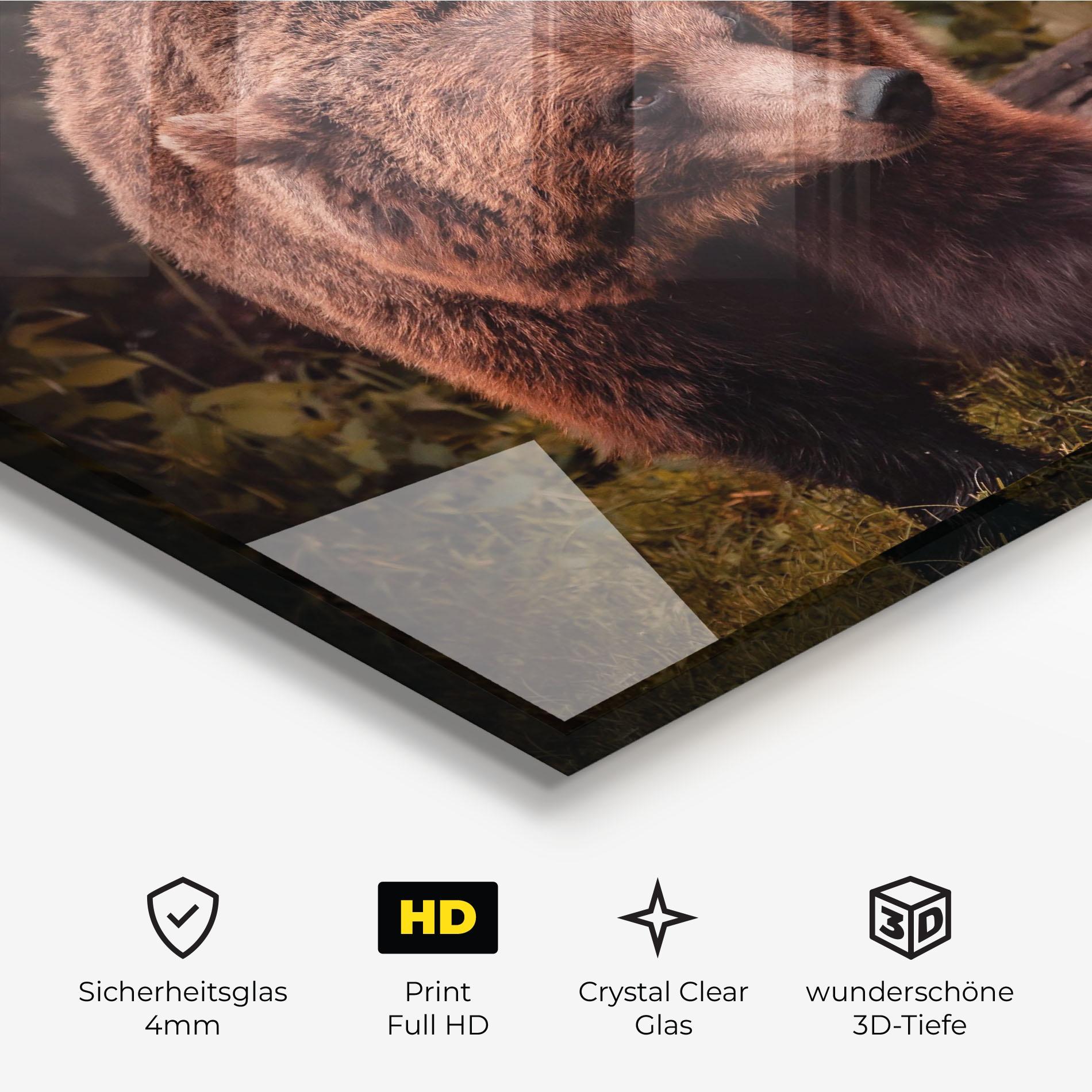 Glasbild Brown Bear mockup 3