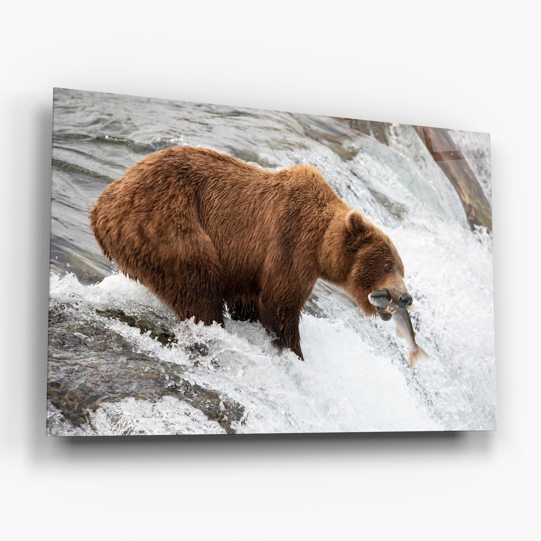 Glasbild Bear Hunting mockup 6