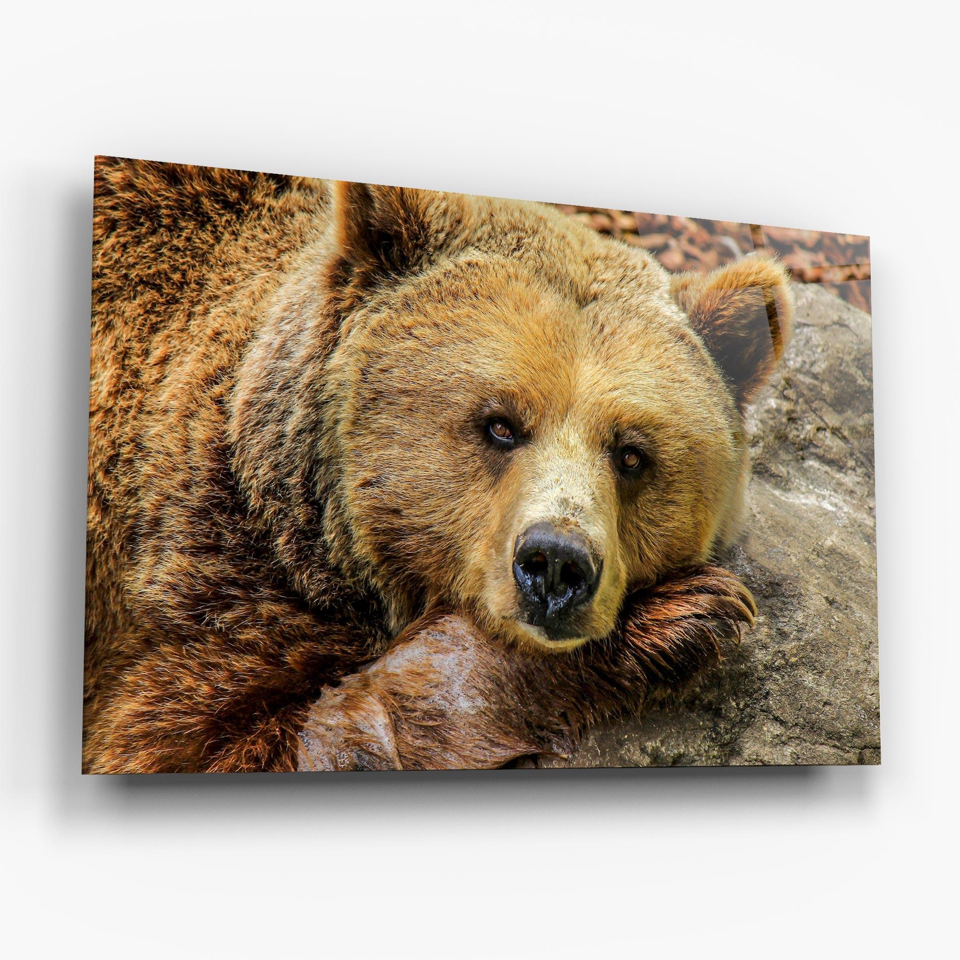 Glasbild Bear mockup 6