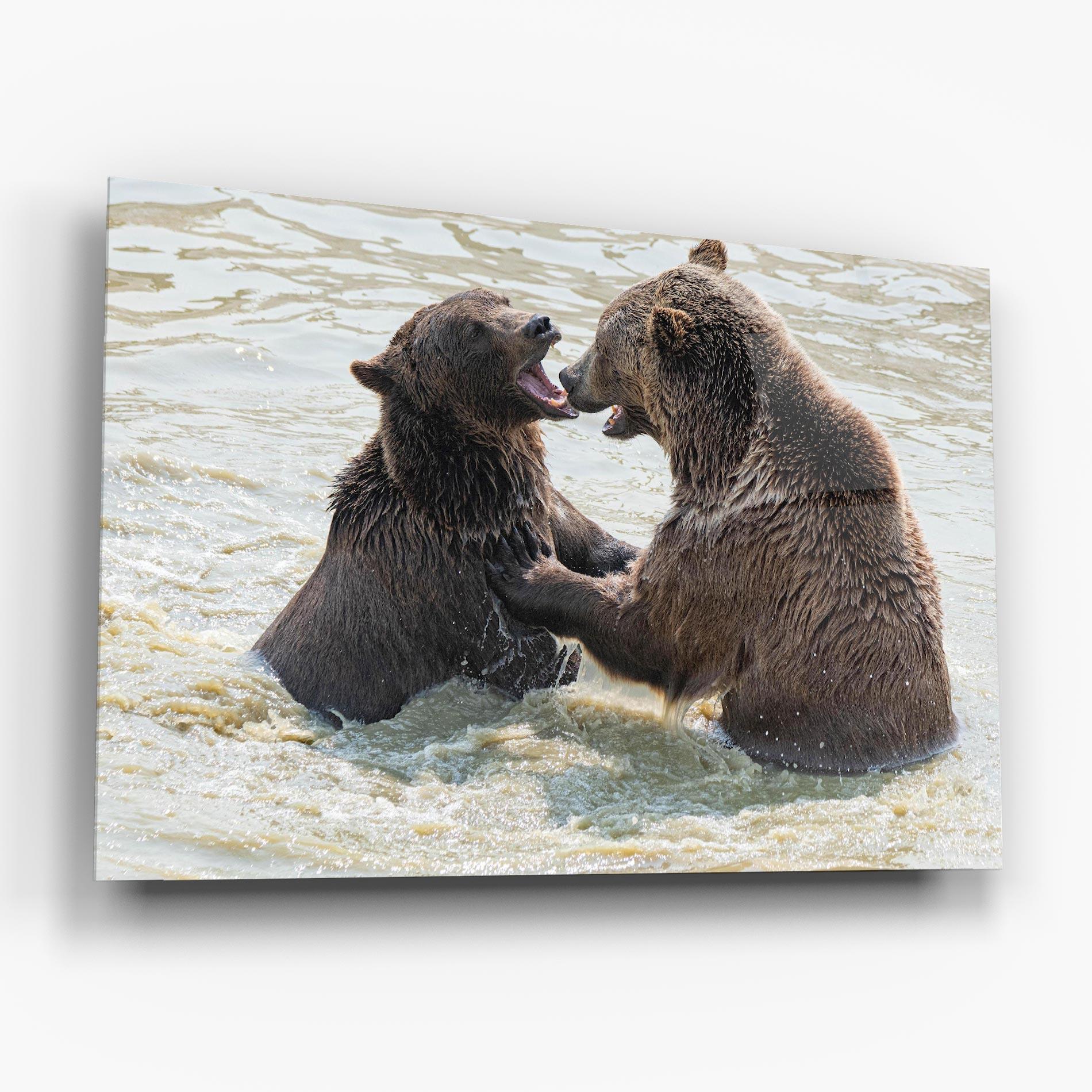 Glasbild Bears Fighting mockup 6