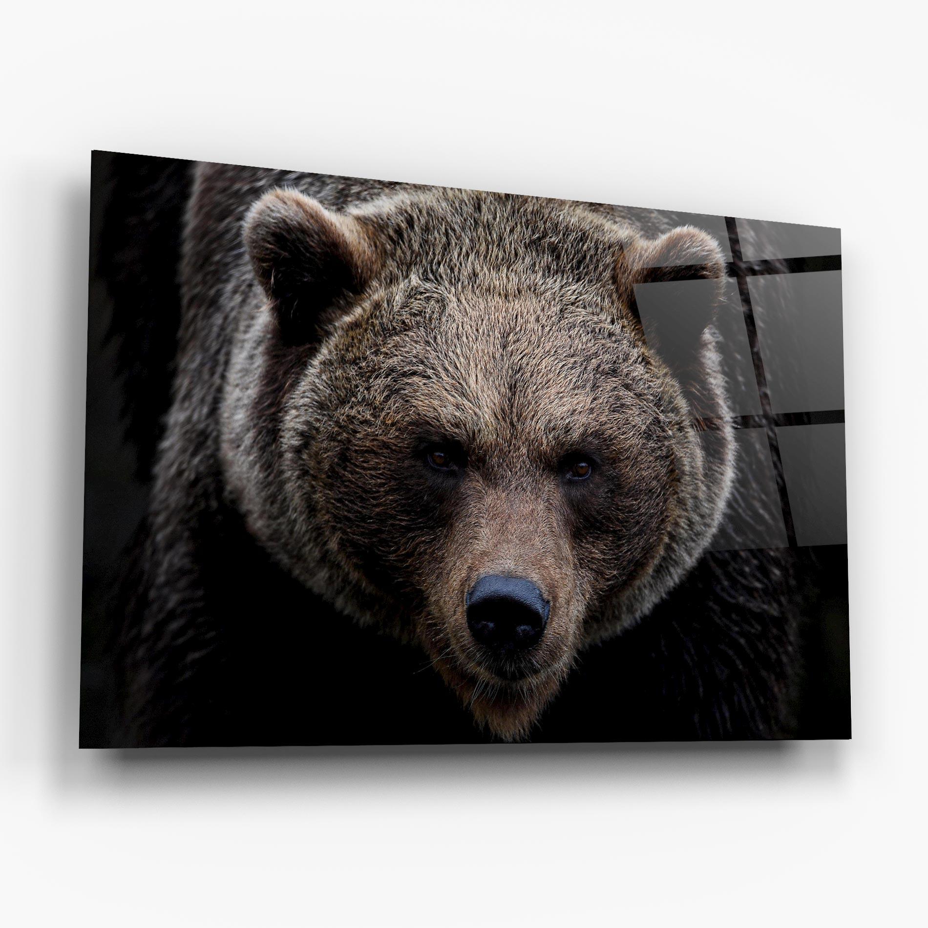 Glasbild Brown Bear mockup 6