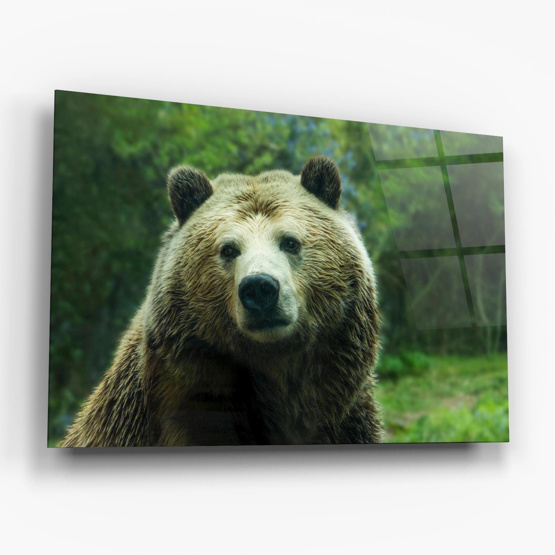 Glasbild Green Bear mockup 6